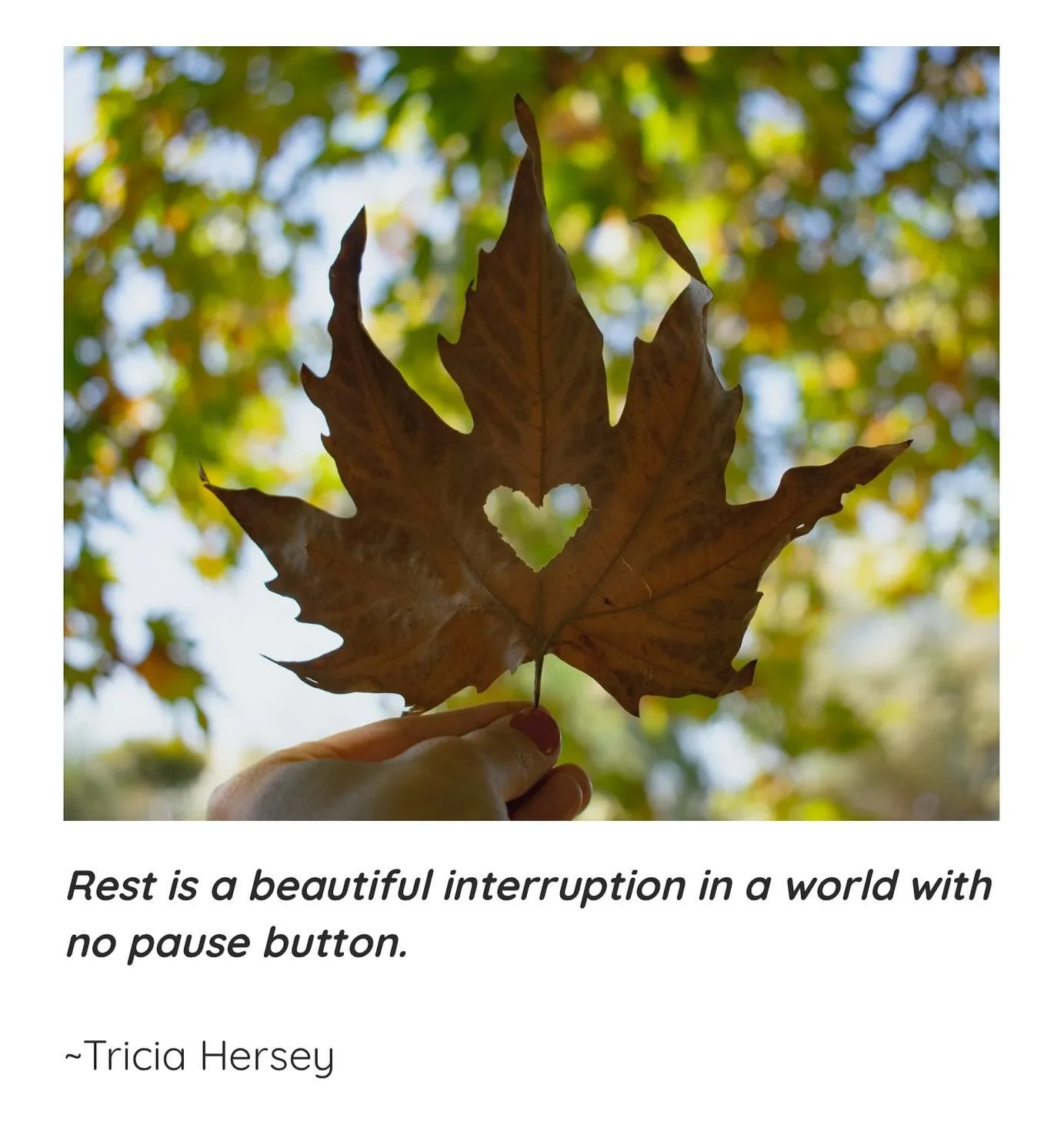 These last three months of the year remind us to turn inward and slow our pace. Here&rsquo;s how you can support yourself to stay grounded and remember the reason of the season. 

🍁Join us-we&rsquo;re half full🍁

Experience a pause to openly RECEIV