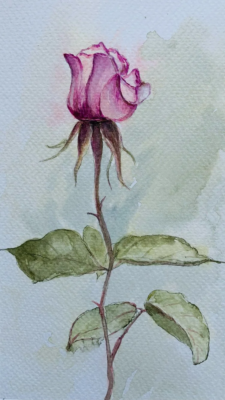 Rose_Img4.JPG