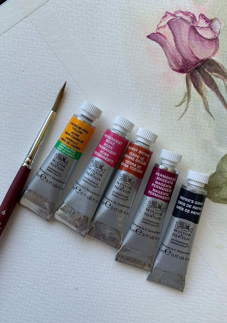 Winsor &amp; Newton watercolors