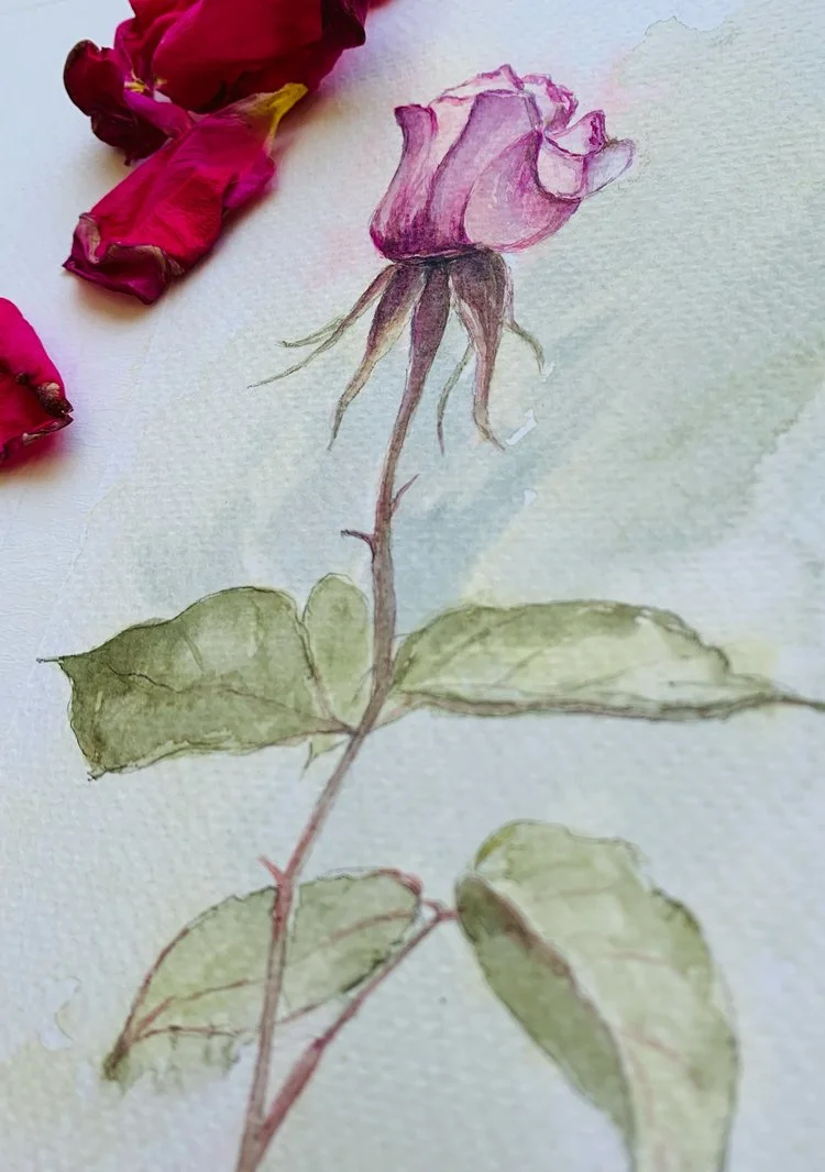 Rose_Img3.JPG