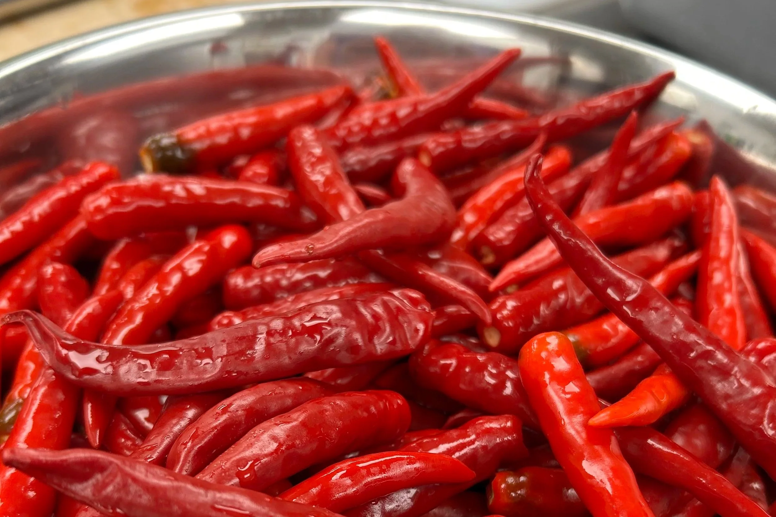 Cayenne peppers harvested from Kres Kitchen regenerative farm, beautifully ripened to deep red color, washed and placed in a stainless bowl for processing at our professional kitchen.