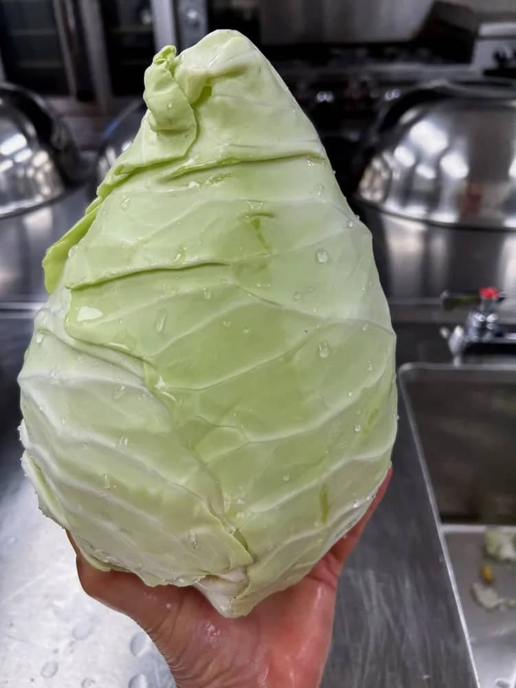 One hand holding up a very large head of freshly washed pointed green cabbage in a commercial kitchen.