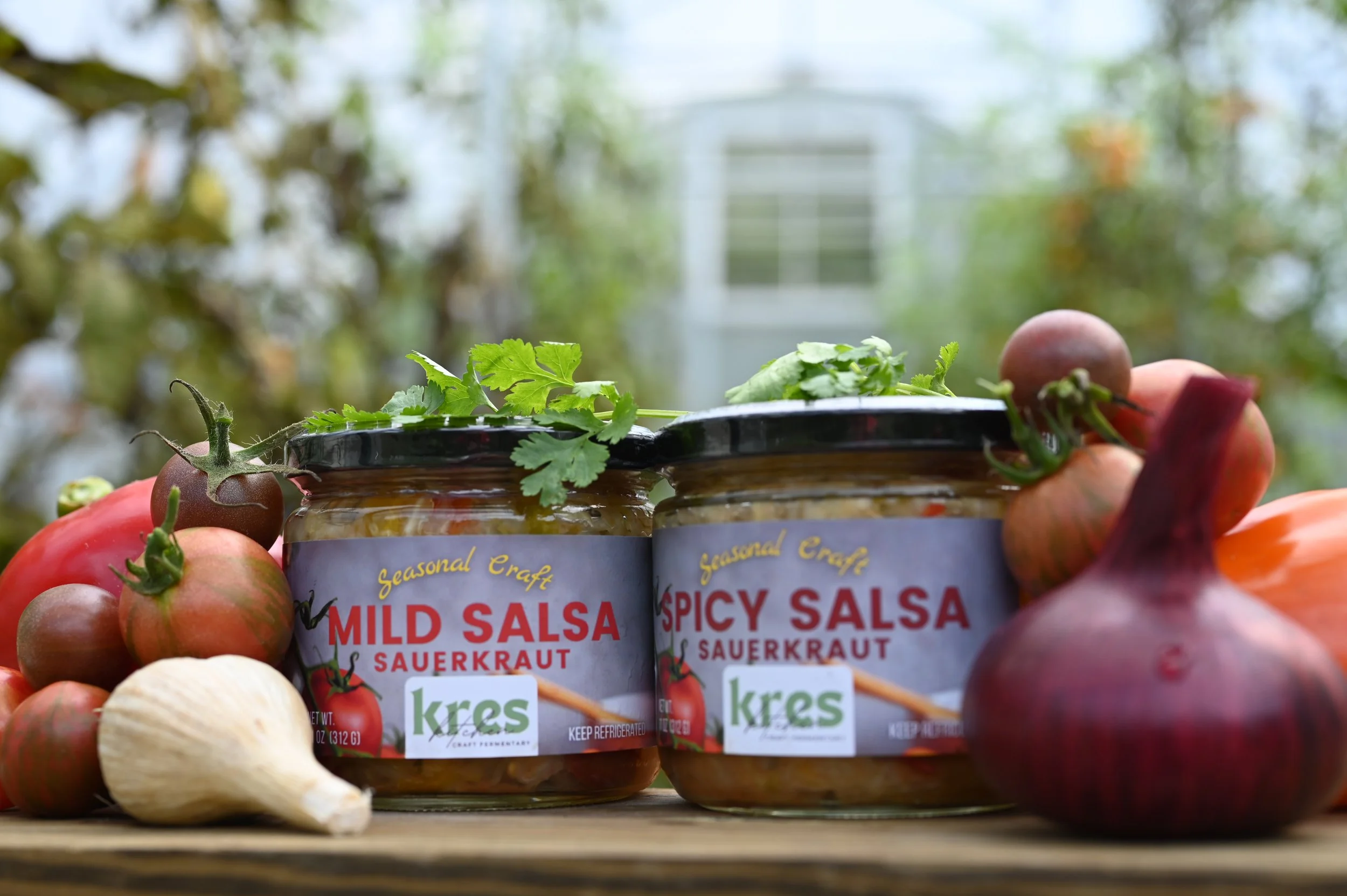 Jars of fermented Mild Salsa Sauerkraut and Spicy Salsa Sauerkraut surrounded by raw ingredients (vegetable inputs) with a greenhouse in the background.