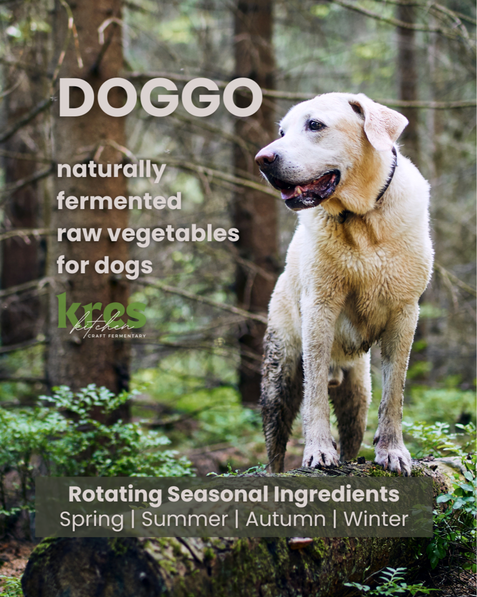 Yellow lab on a mossy log in a forest with muddy legs. "DOGGO" appears at the top left followed by "naturally fermented raw vegetables for dogs." Kres Kitchen logo. Bottom: "Rotating Seasonal Ingredients: Spring, Summer, Autumn, Winter.