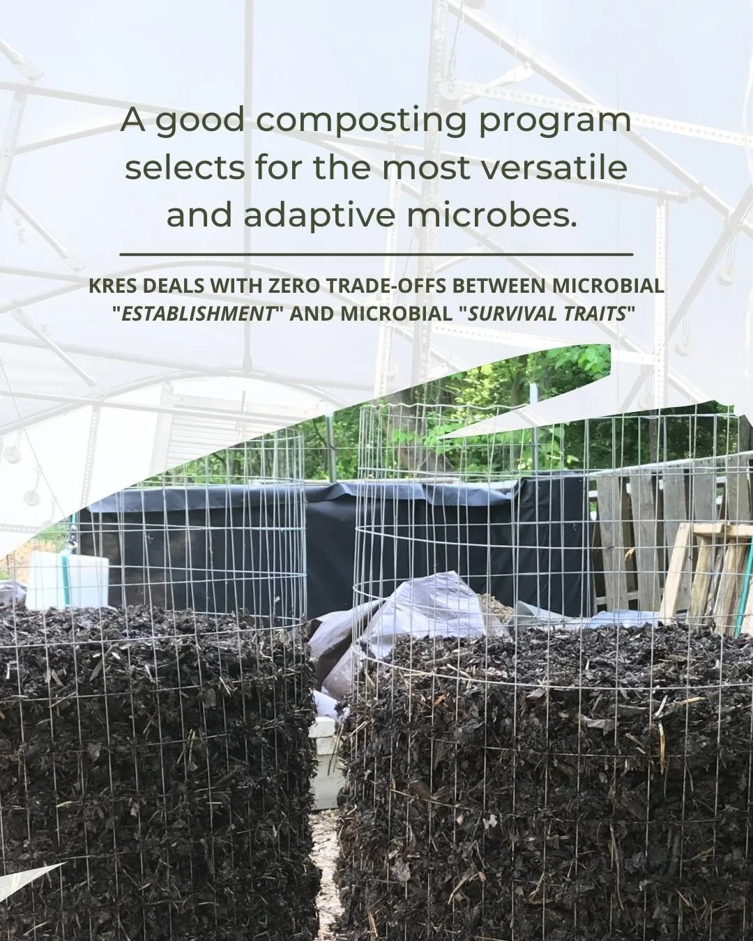 Two piles of finished compost used to grow Kres Kitchen plant-based ingredients. A good composting program selects for the most versatile and adaptive microbes. Kres deals with zero trade-offs between microbe "establishment" & "survival".