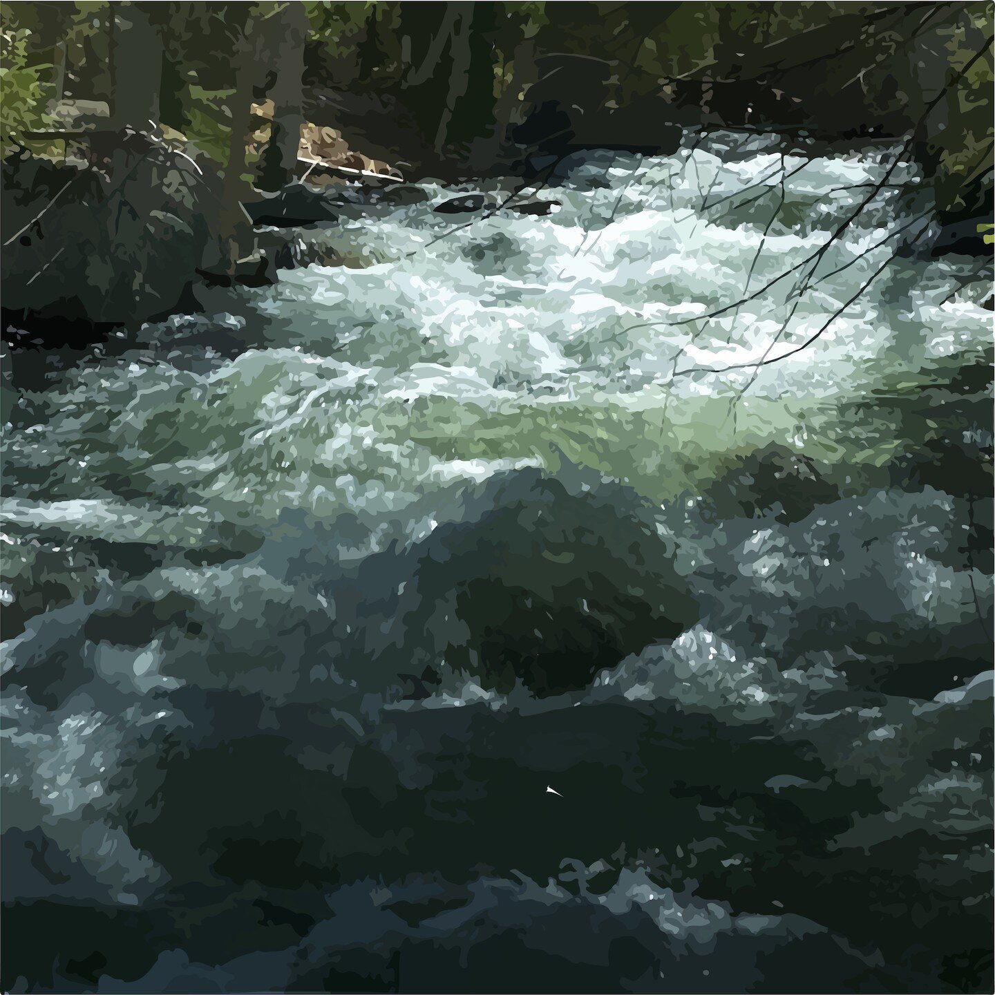 Spring runoff, Tunk Lake.