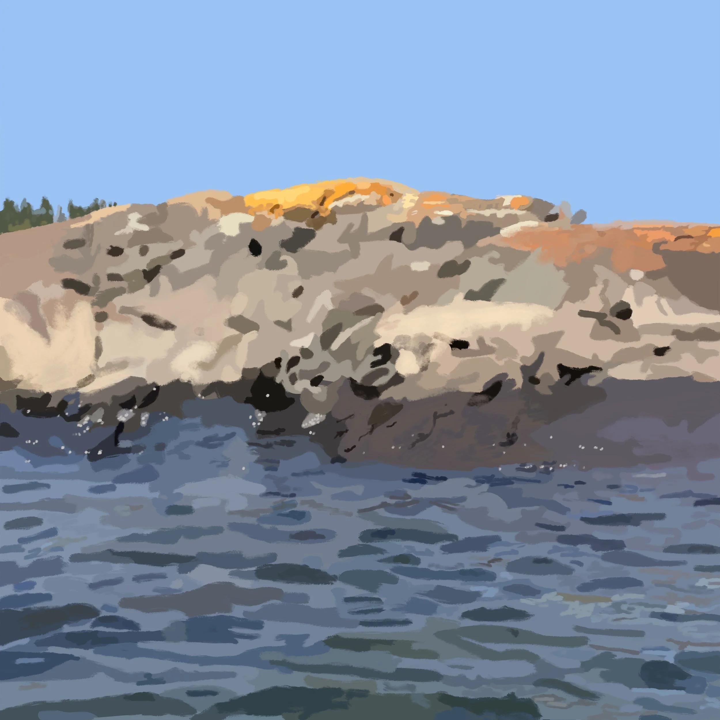 on Sandy Cove
