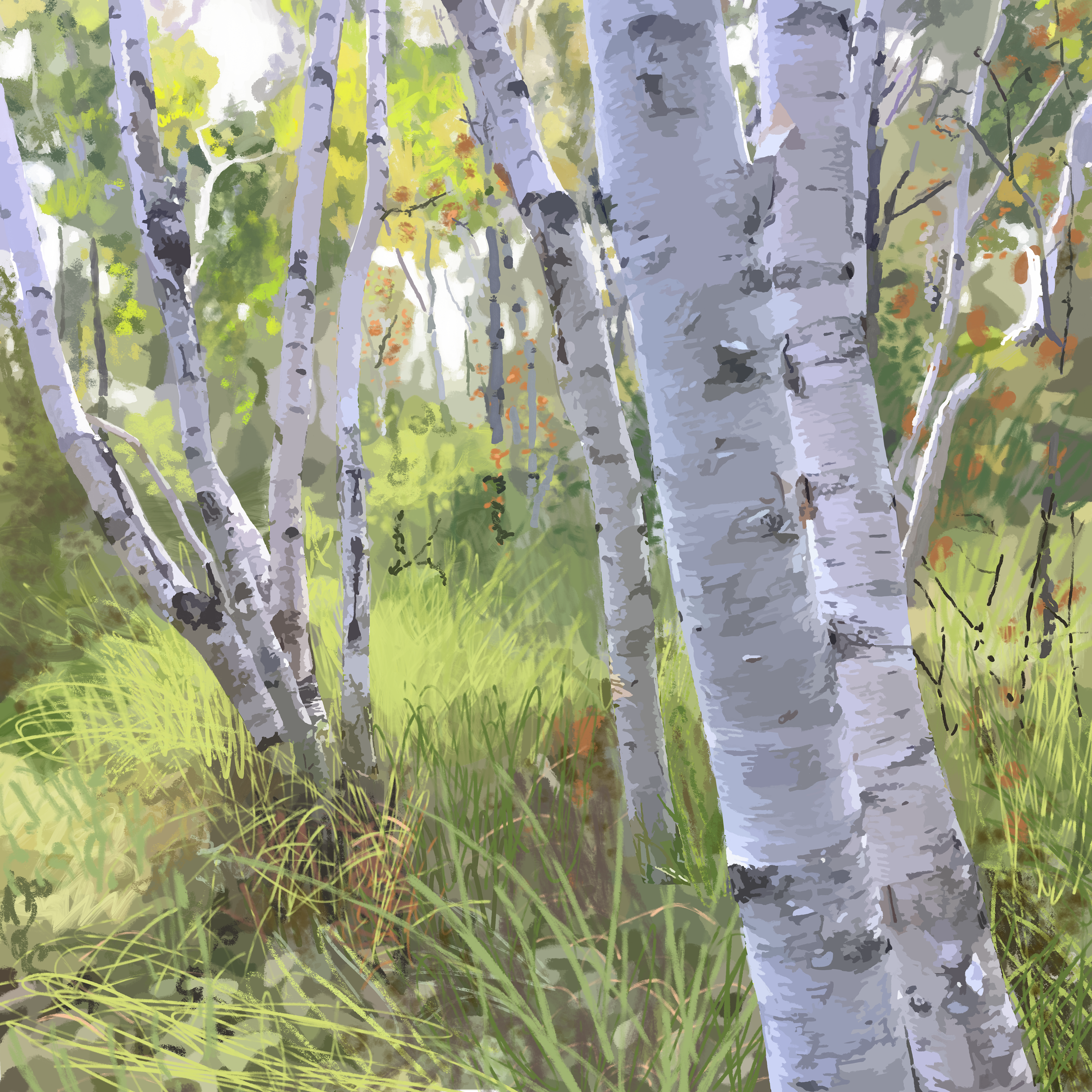  Seaside Birches 2  
2026 
21 x 21 in 
Mixed digital media 
Archival pigment print 
Limited edition of 20 
