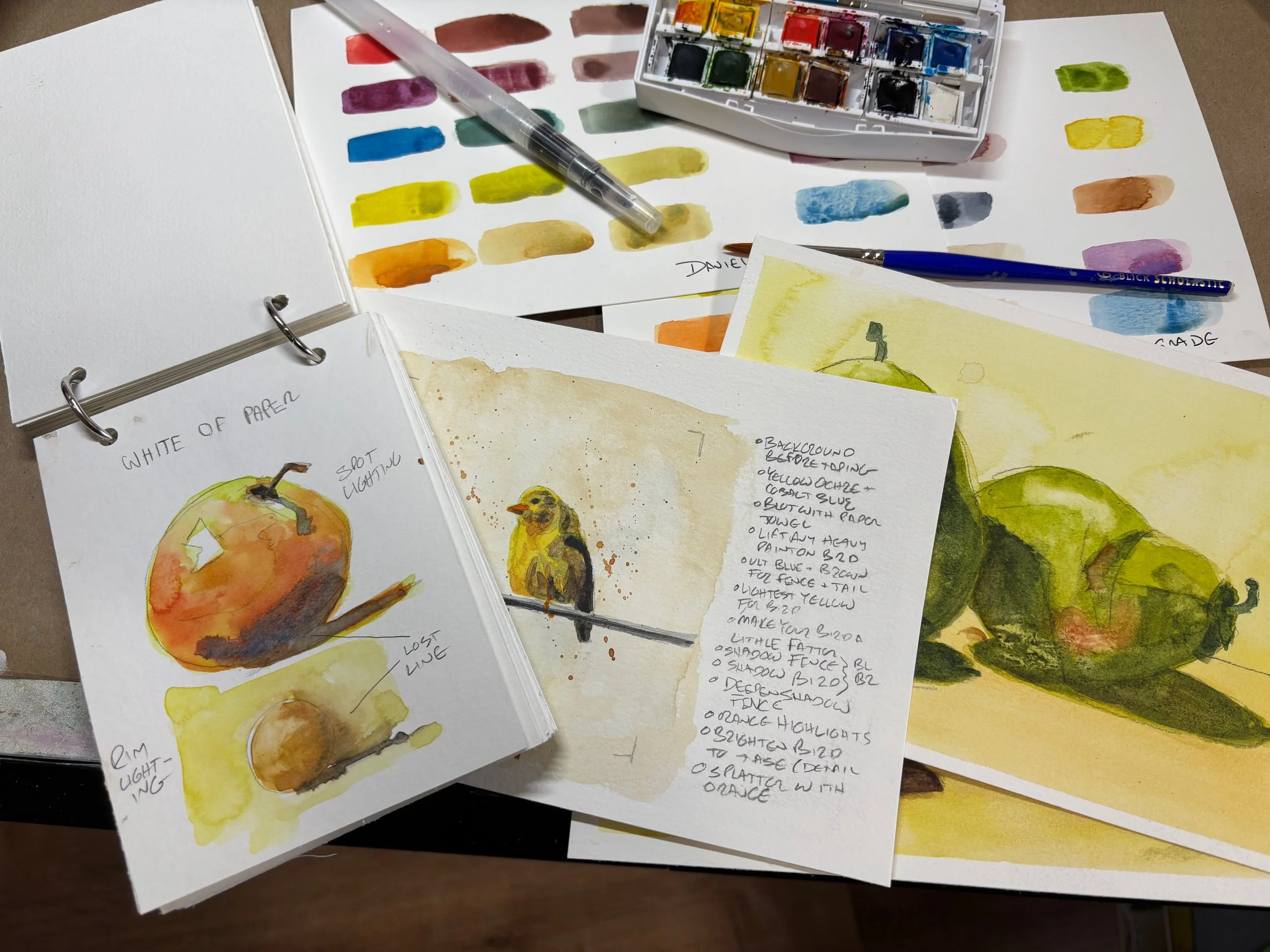 Watercolor 101  with John Kennedy