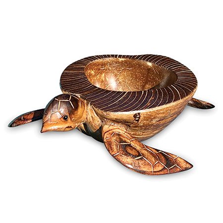 natural coconut shell bowl.jpg