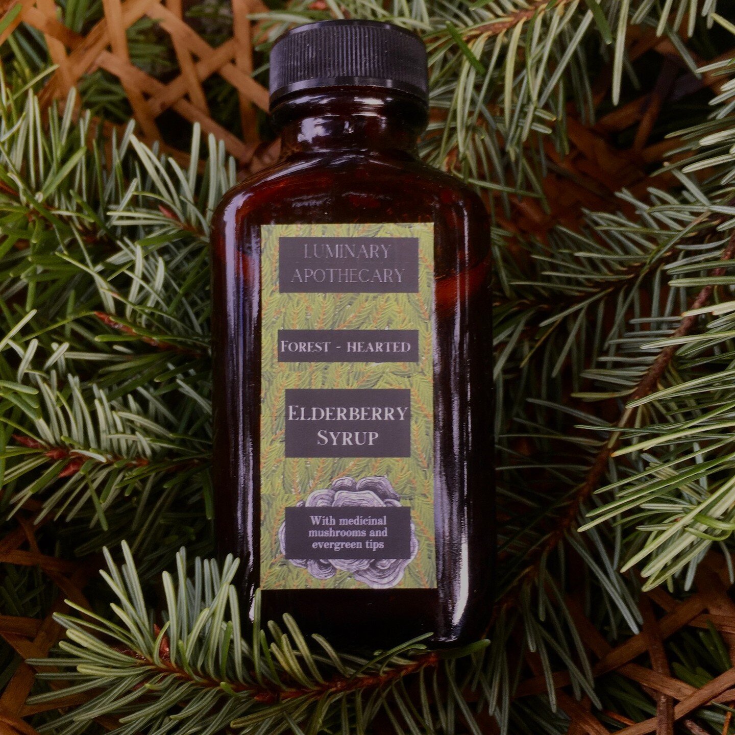 Elderberry syrup with medicinal mushrooms and conifers is now available from the apothecary! I can ship or provide pick up if you're local.

I don't usually make the same thing twice - I make herbal medicine based on the year's harvest, what my patie