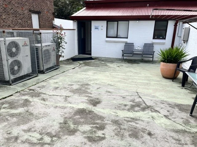 IMG_3768 Medium.jpeg