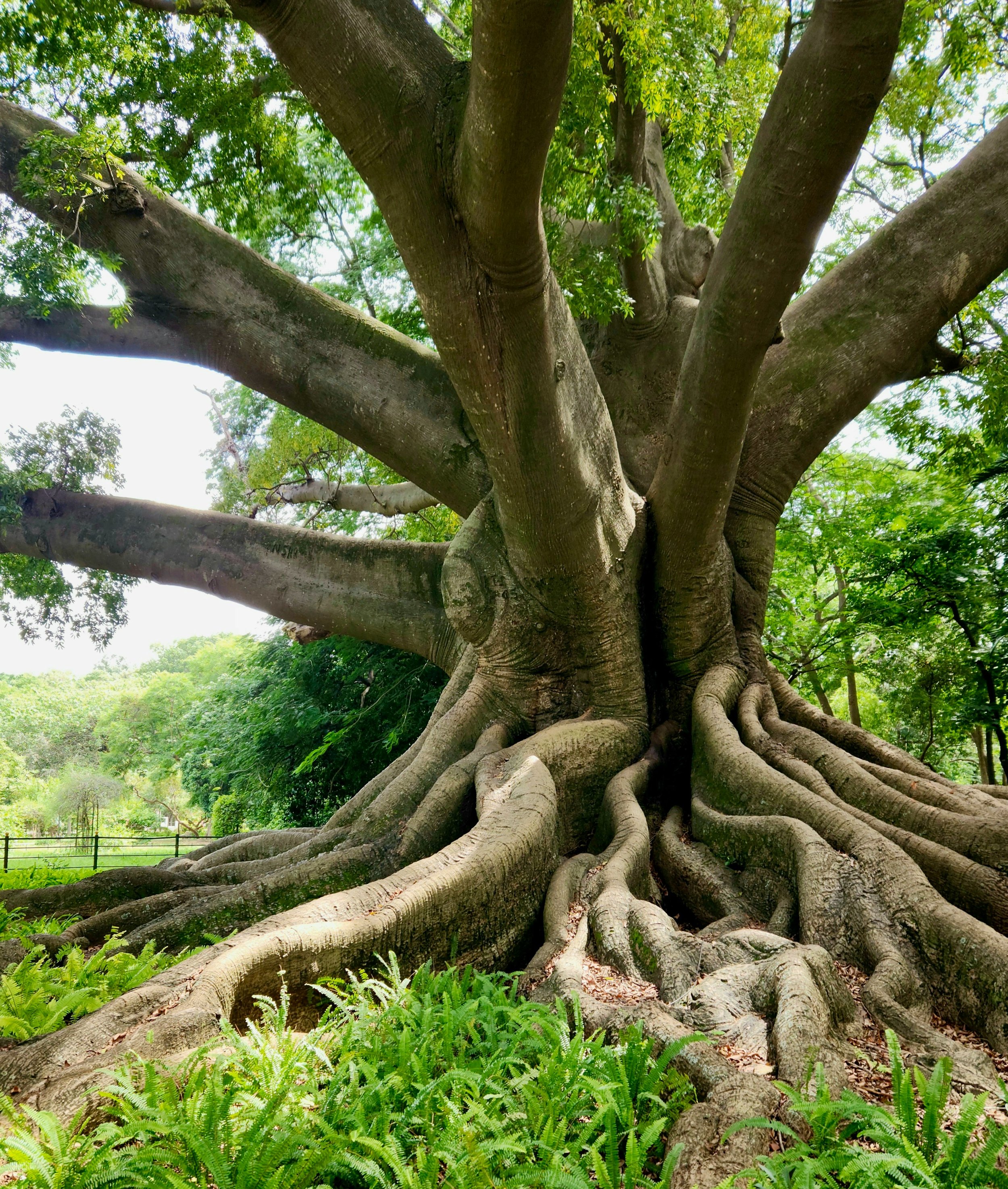 Come Lay It Down Grief Retreat ( For Clinicians, Helpers, Leaders)