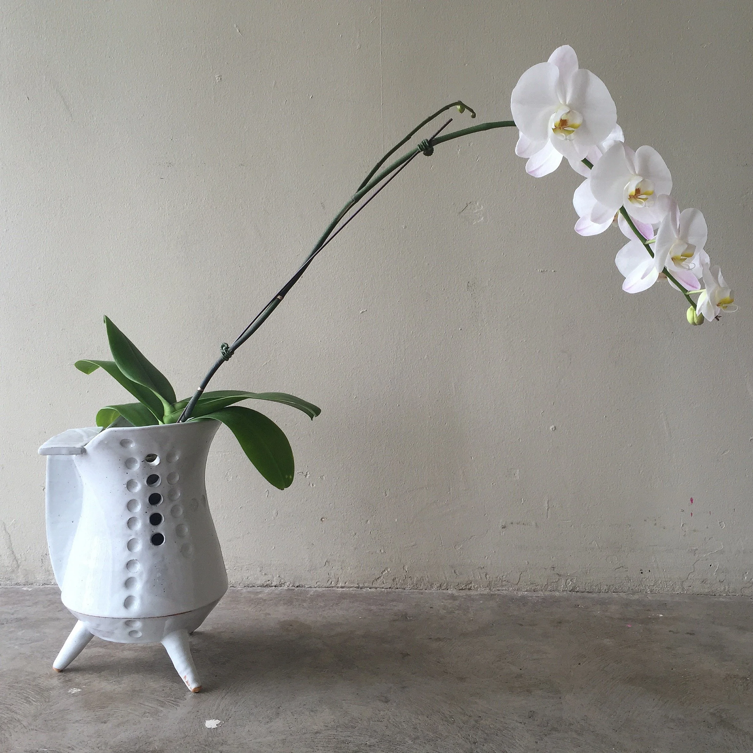 trileg vase w_ orchid,2015.JPG