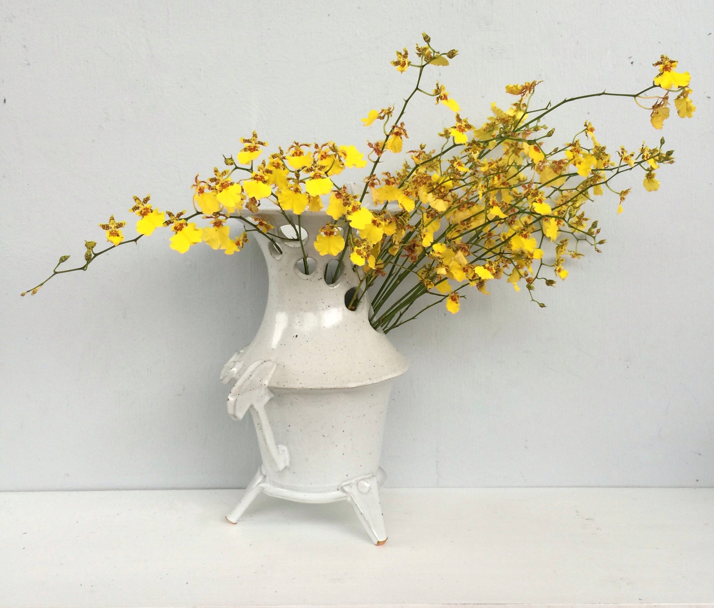 Cut-out vase w_ popcorn orchids.jpg