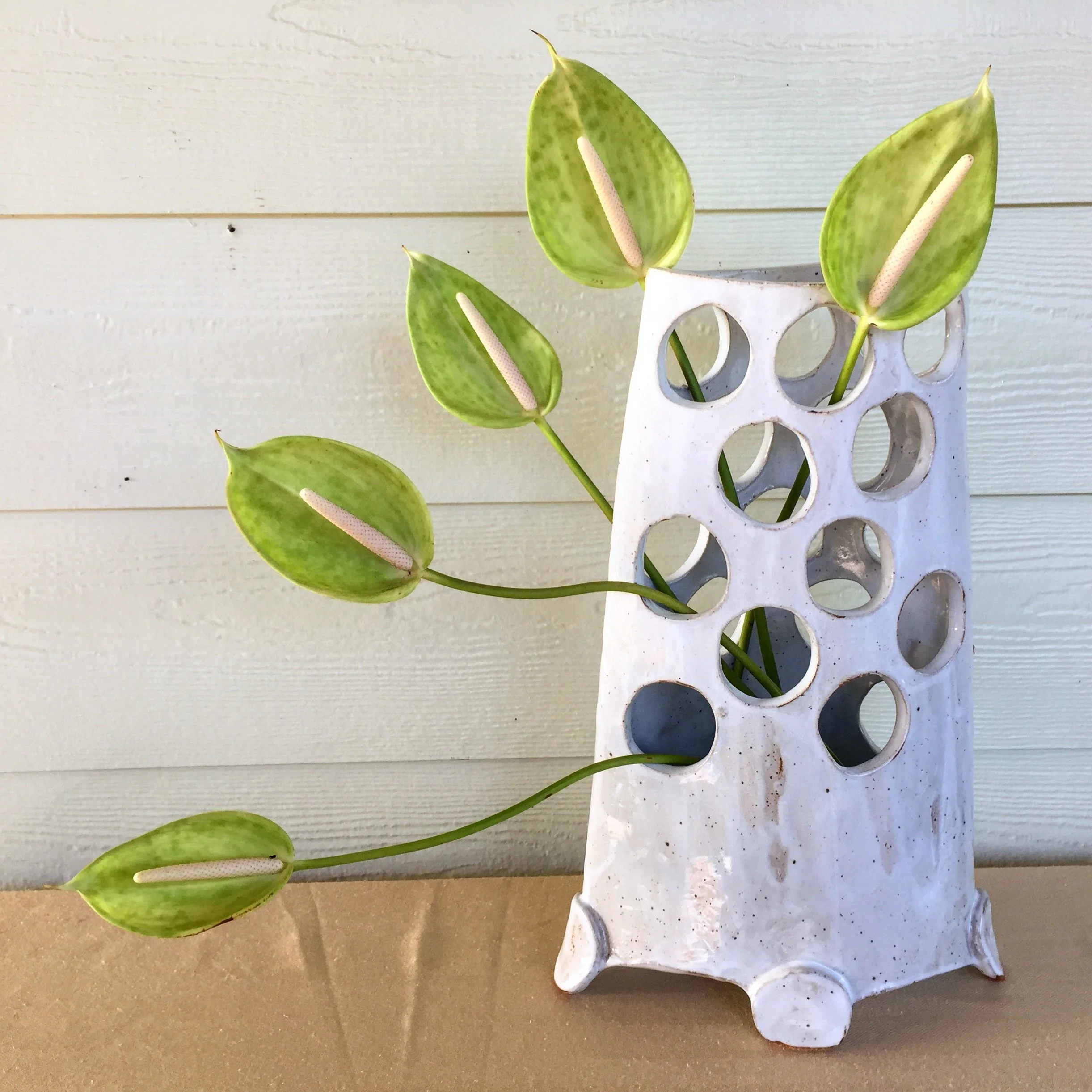 Cut-out Envelope vase w_ green Antherium.JPG