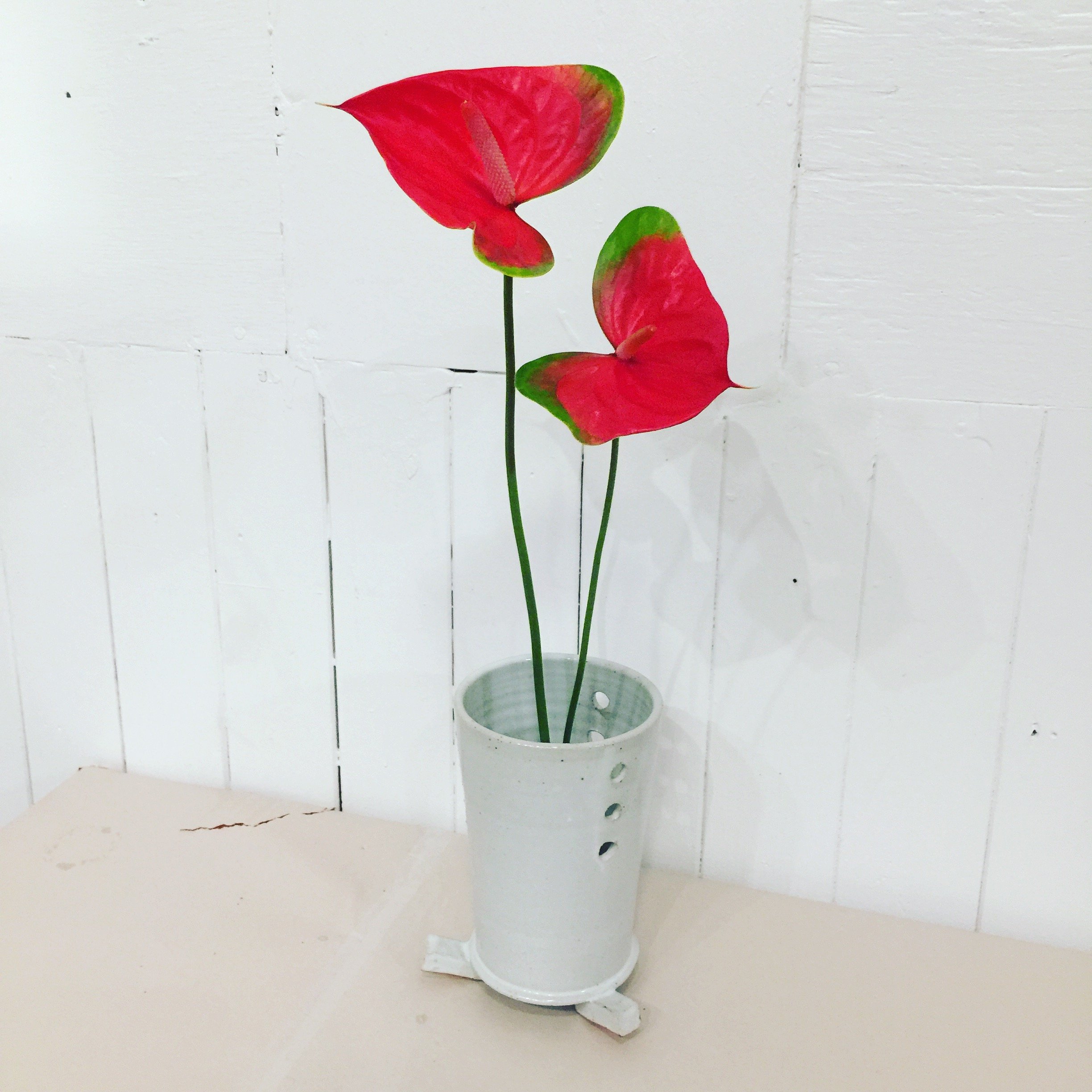 Sm. thrown vase w_ red antherium.JPG