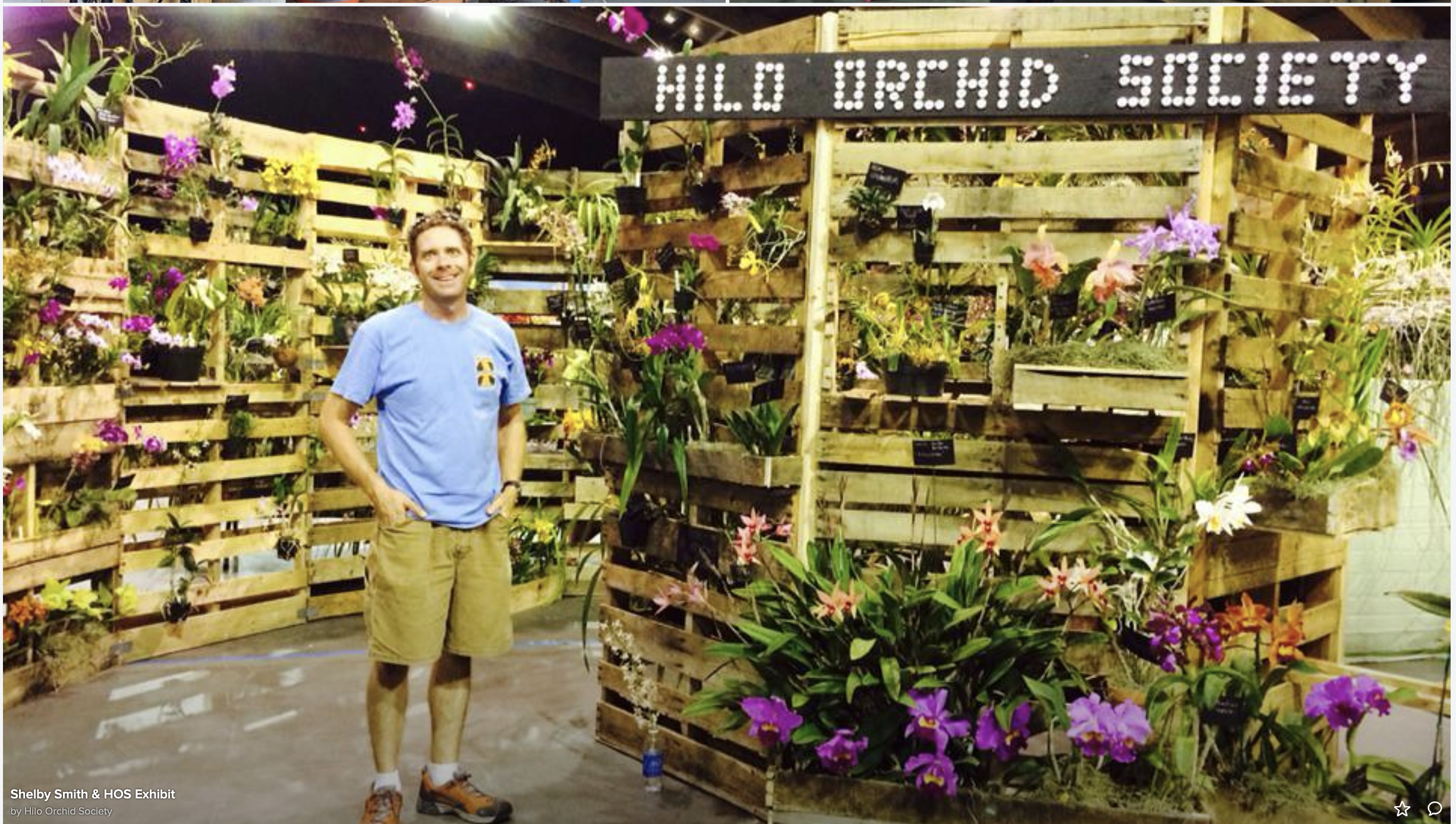 Screen Shot 2022-11-11 at 8.48.25 AM.png