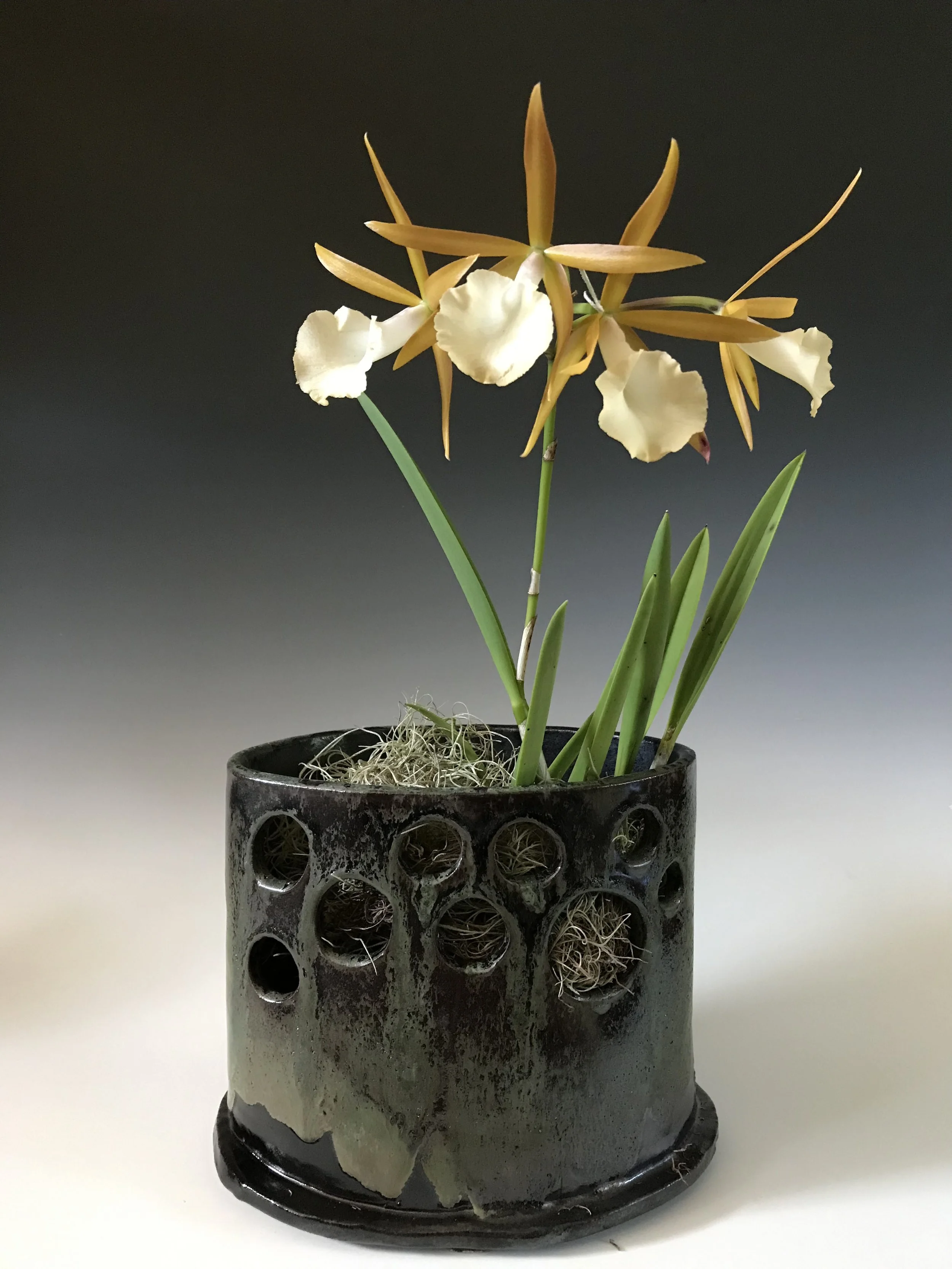 Slab cut-out vase w_with orchid.jpg