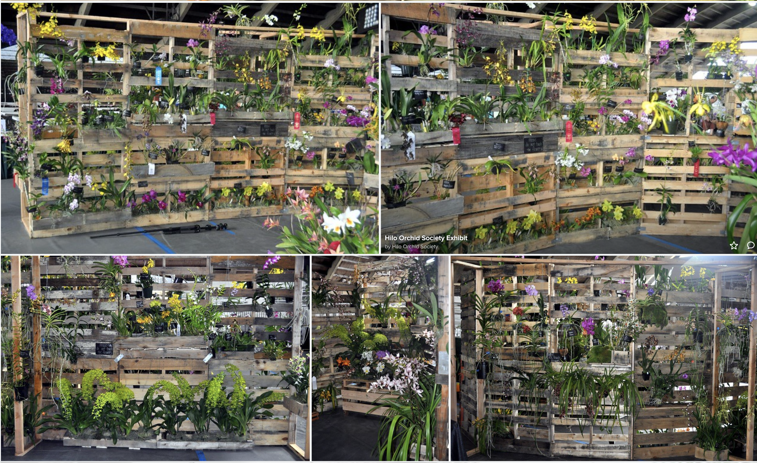 Screen Shot 2022-11-11 at 8.49.17 AM.png