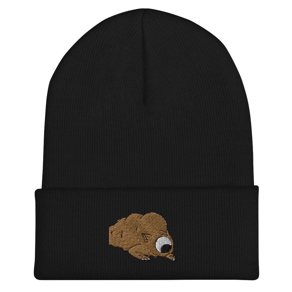 cuffed-beanie-black-front-62e4b2ff3cf11.jpg