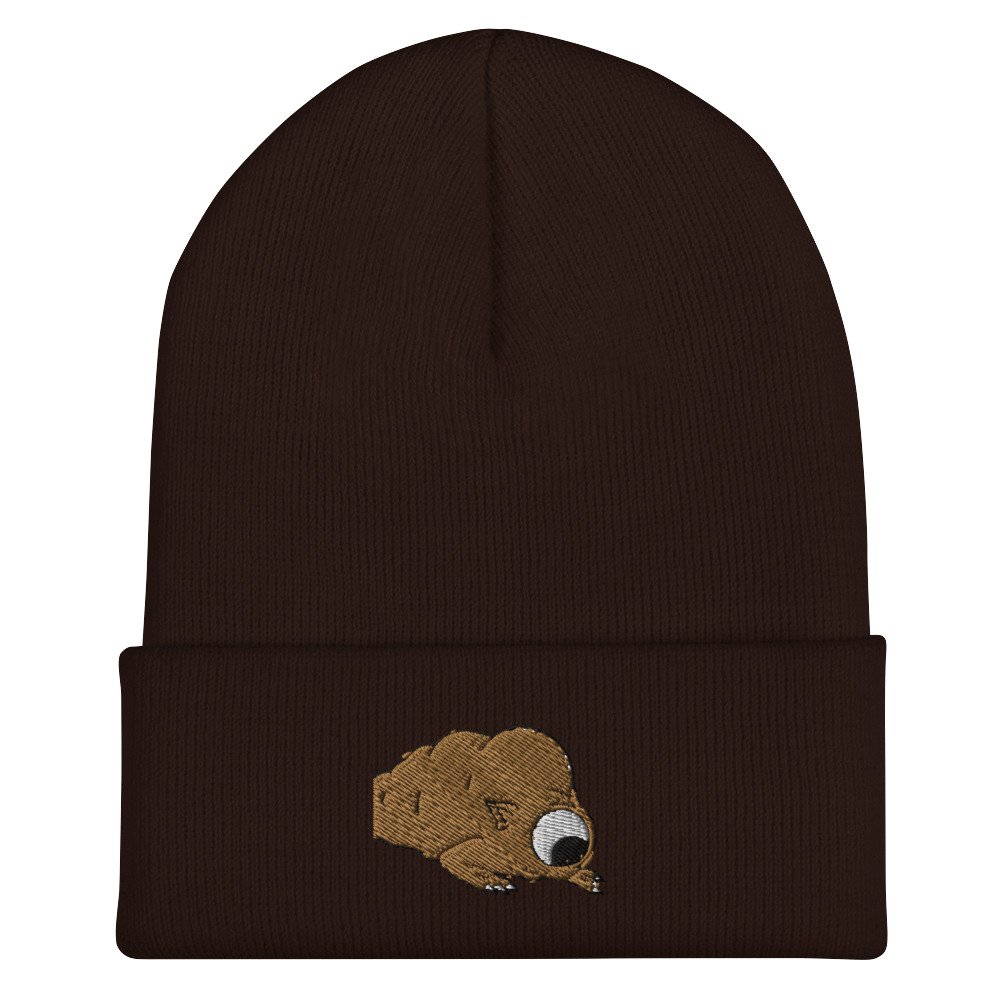 cuffed-beanie-brown-front-62e4b2ff3d04f.jpg