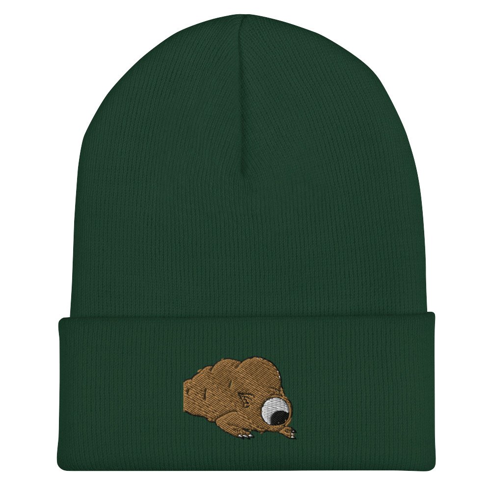 cuffed-beanie-spruce-front-62e4b2ff3d243.jpg