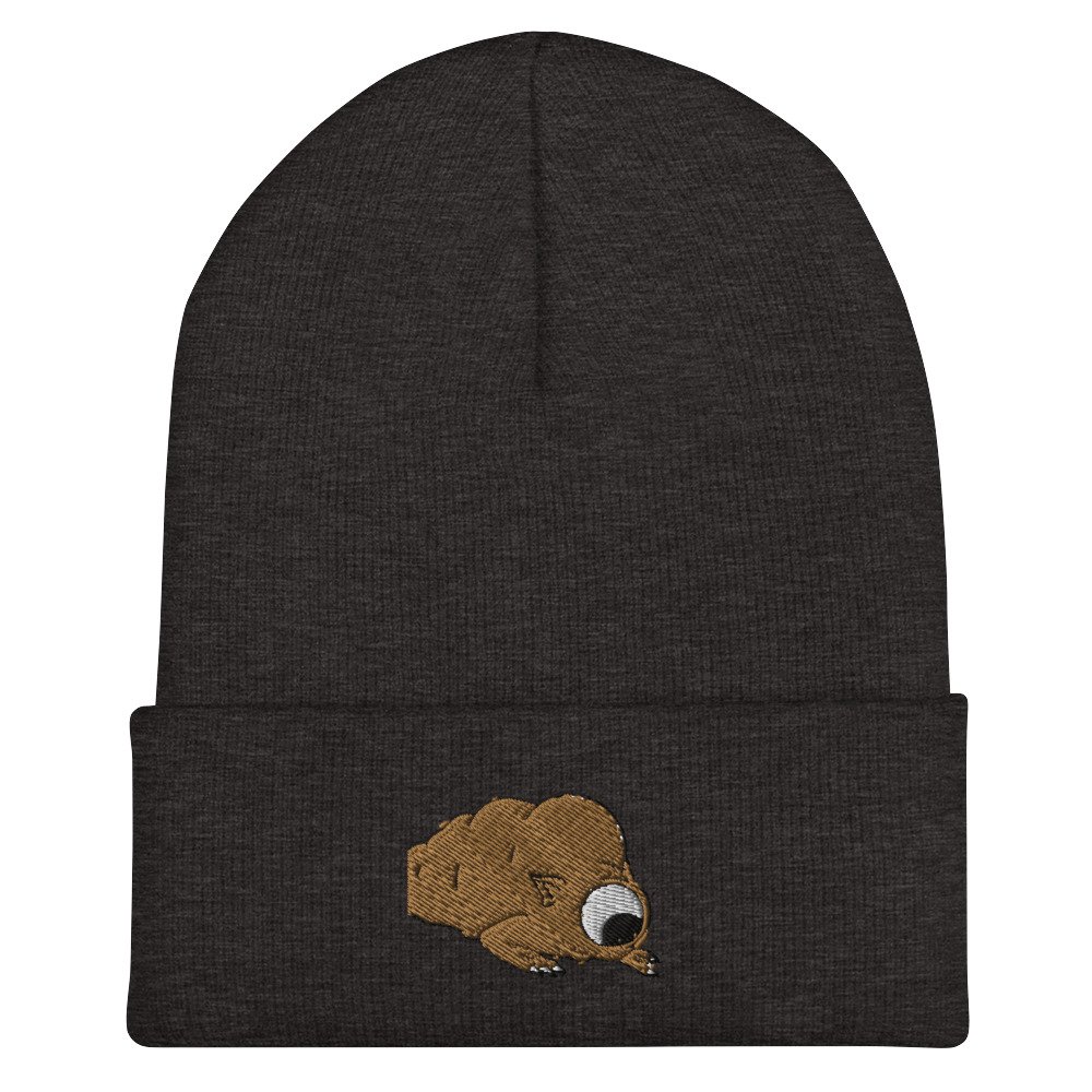 cuffed-beanie-dark-grey-front-62e4b2ff3d2d2.jpg