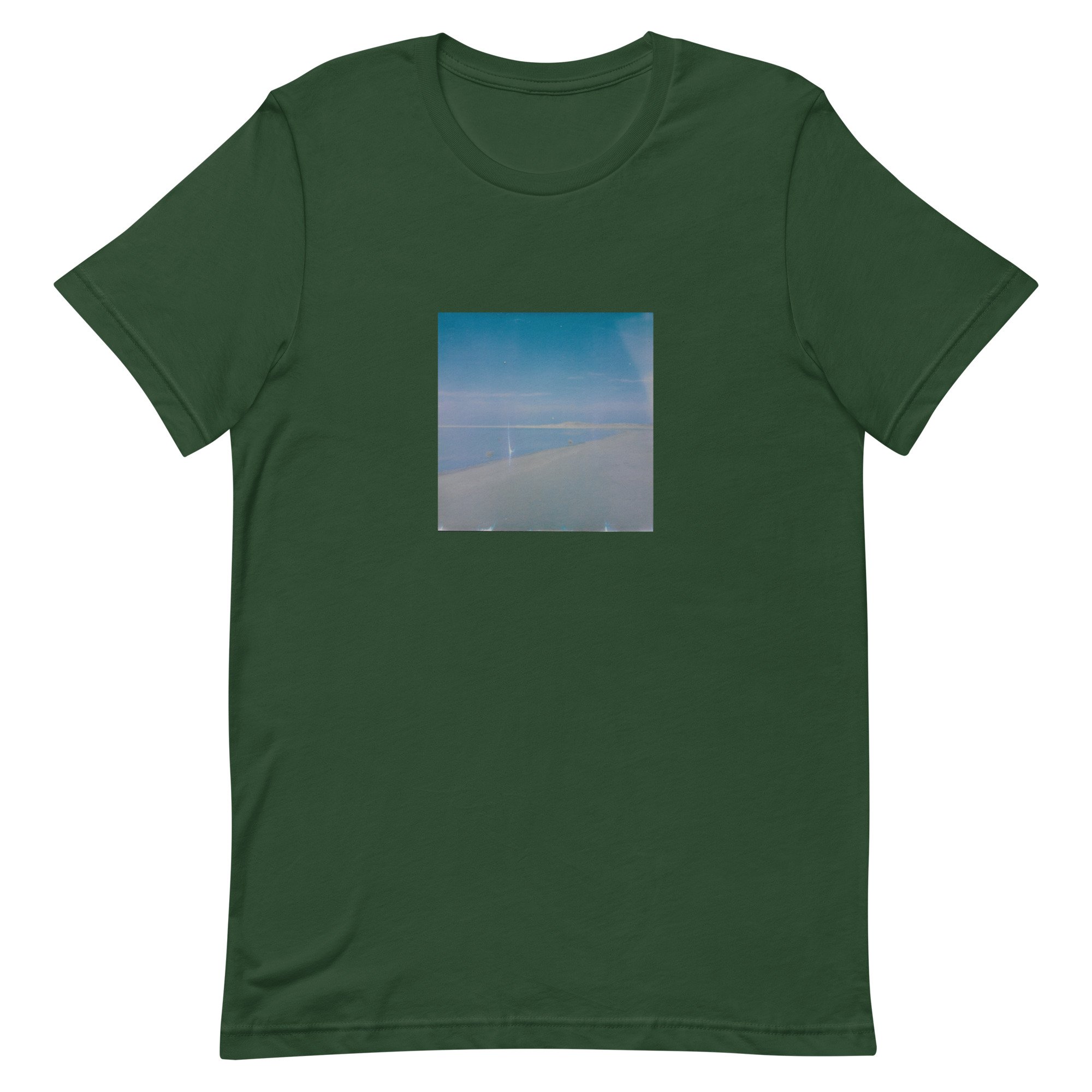 unisex-staple-t-shirt-forest-front-6476c41f24fb5.jpg