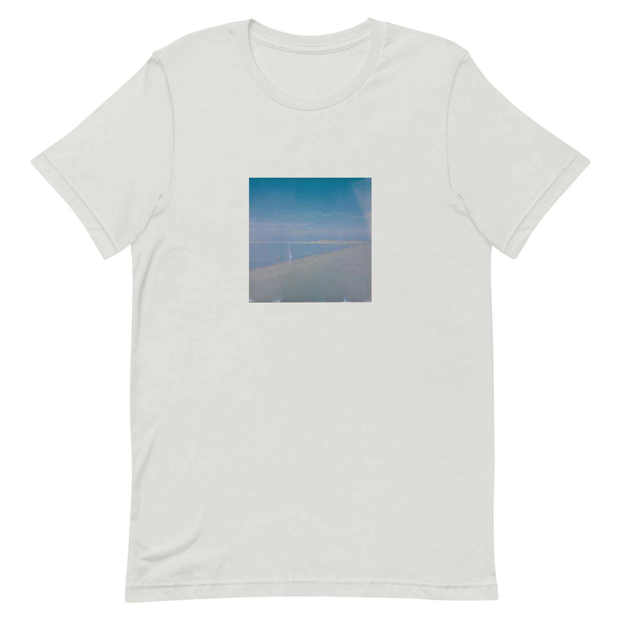 unisex-staple-t-shirt-silver-front-6476c41f3d12f.jpg