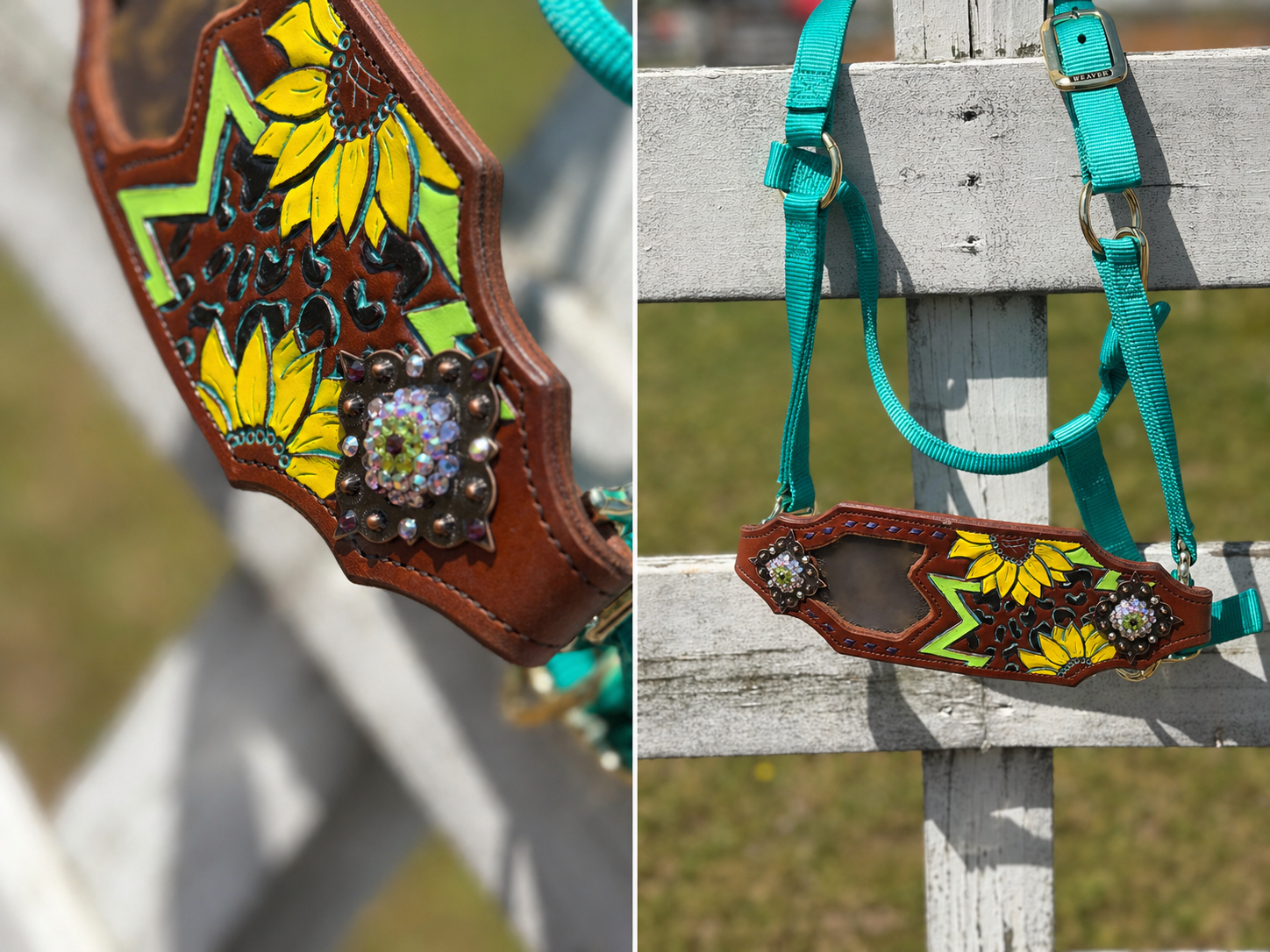 Sunflower Outlaw Bronc Halter