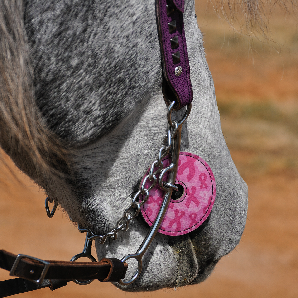 Pink Ribbon Bit Guards