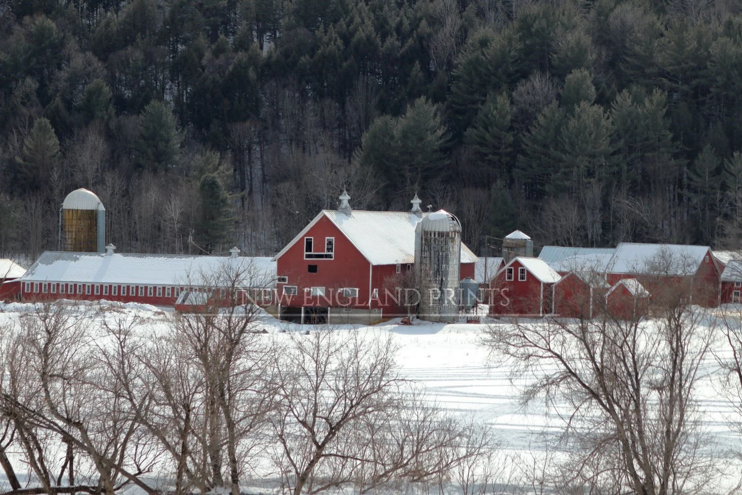 Beloved Barns - Western Horseman, image size:1500x1000