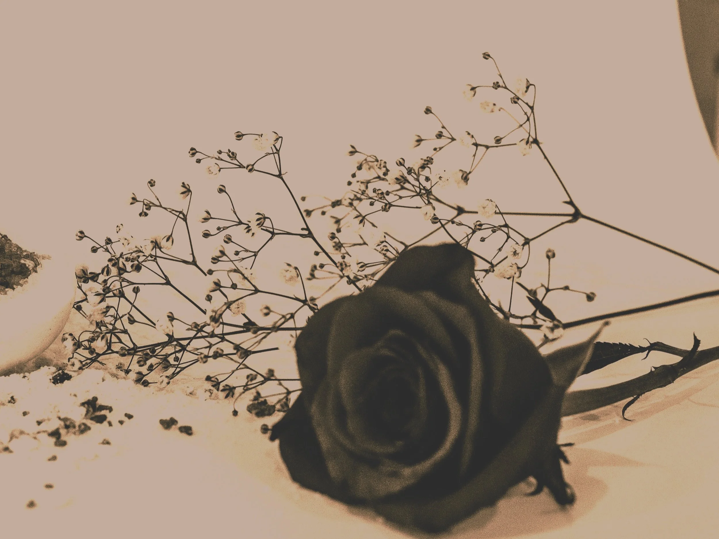 5 Things That 5 Years of Grief Recovery Have Taught Me