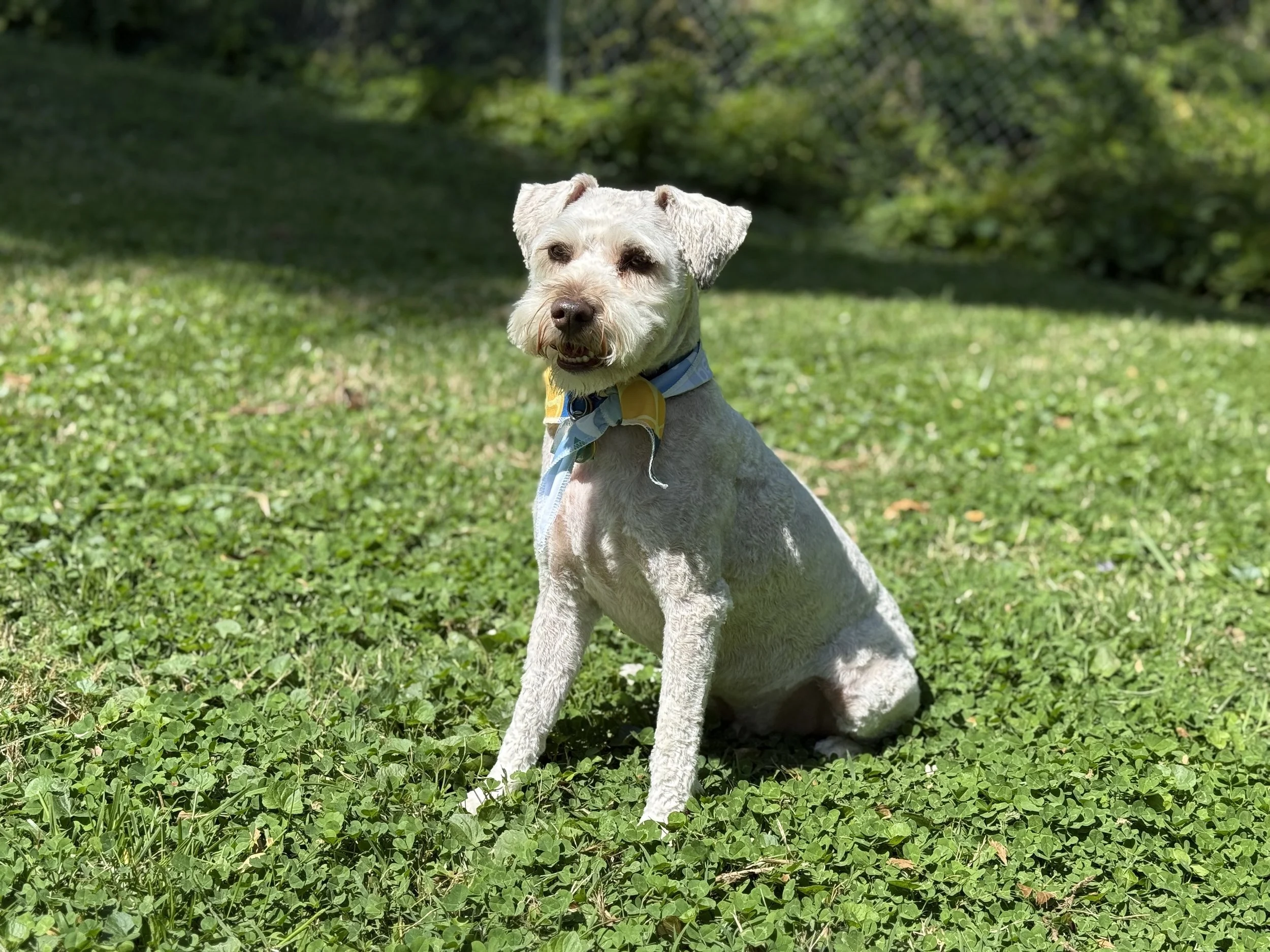 Three Years of Samwise