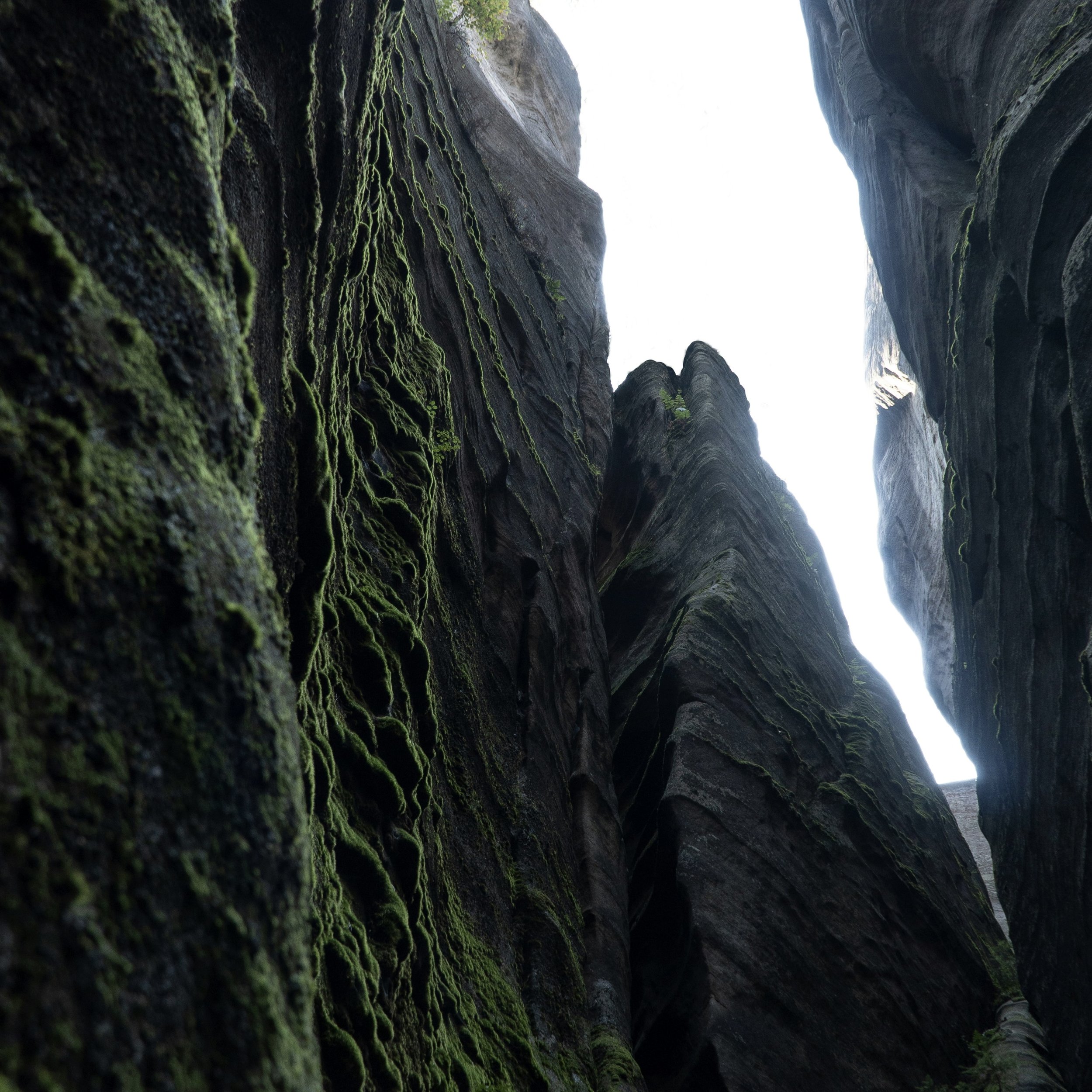 Navigating the Sar-Chasm