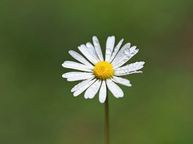 Clarity Package - 5 hours of support