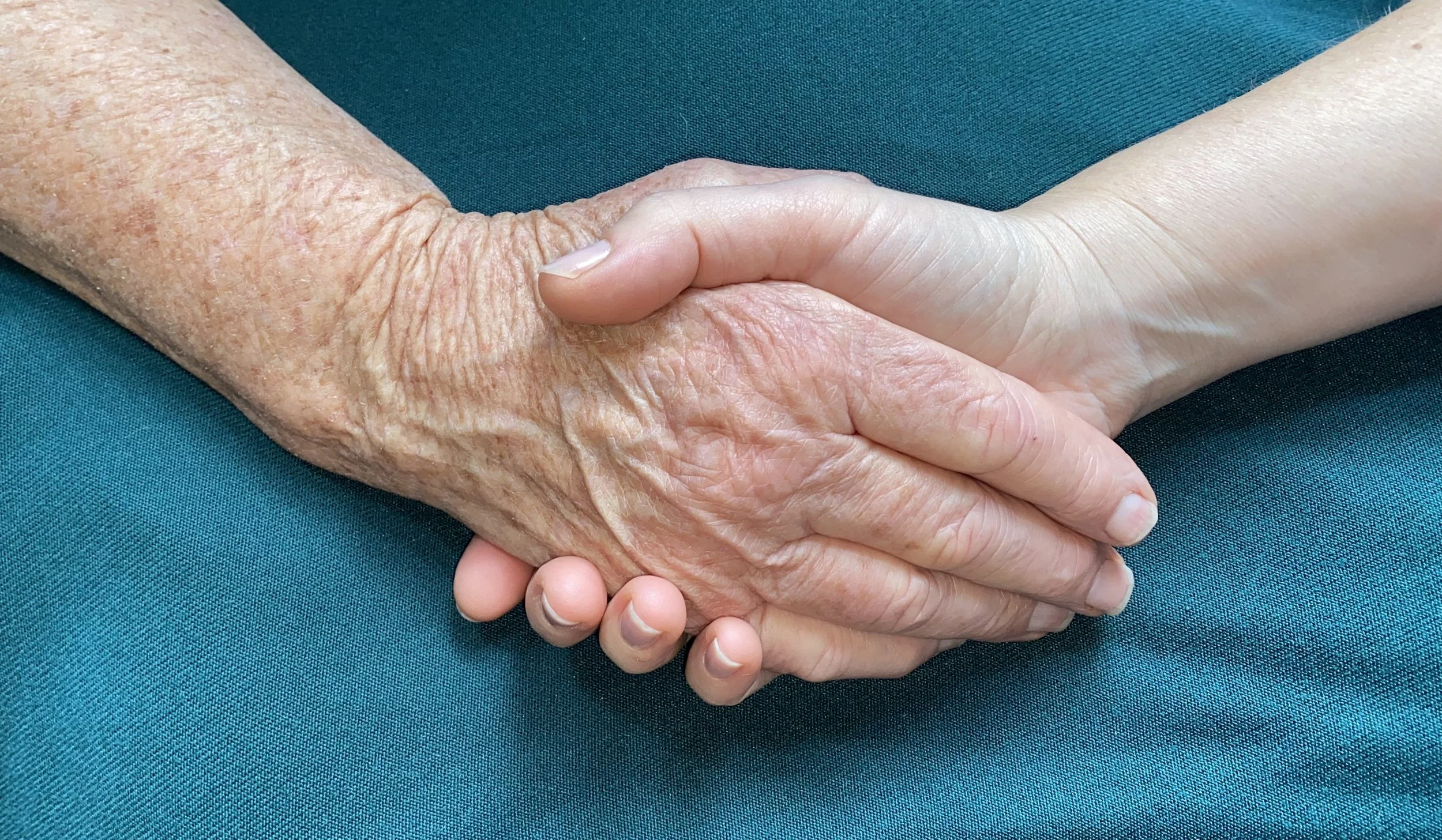 Full Support Package - 20 hours of support