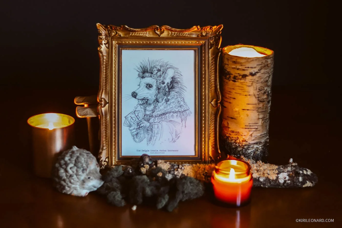 A framed drawing of a wolf dressed as a medieval noble, with candles and natural objects arranged around it, creating a mystical, shrine-like display.