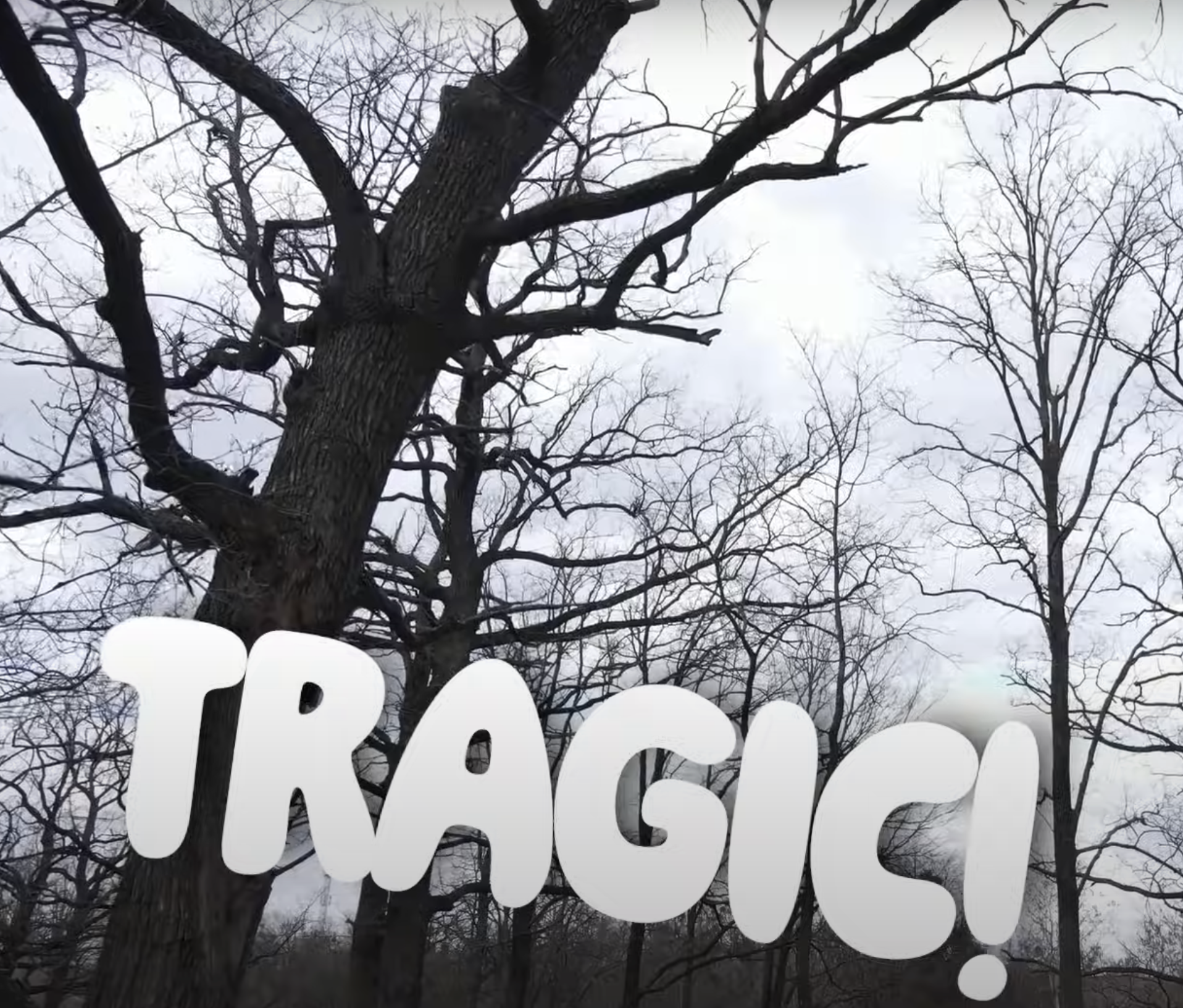 Screenshot 2024-08-26 at 1.02.28 PM.png