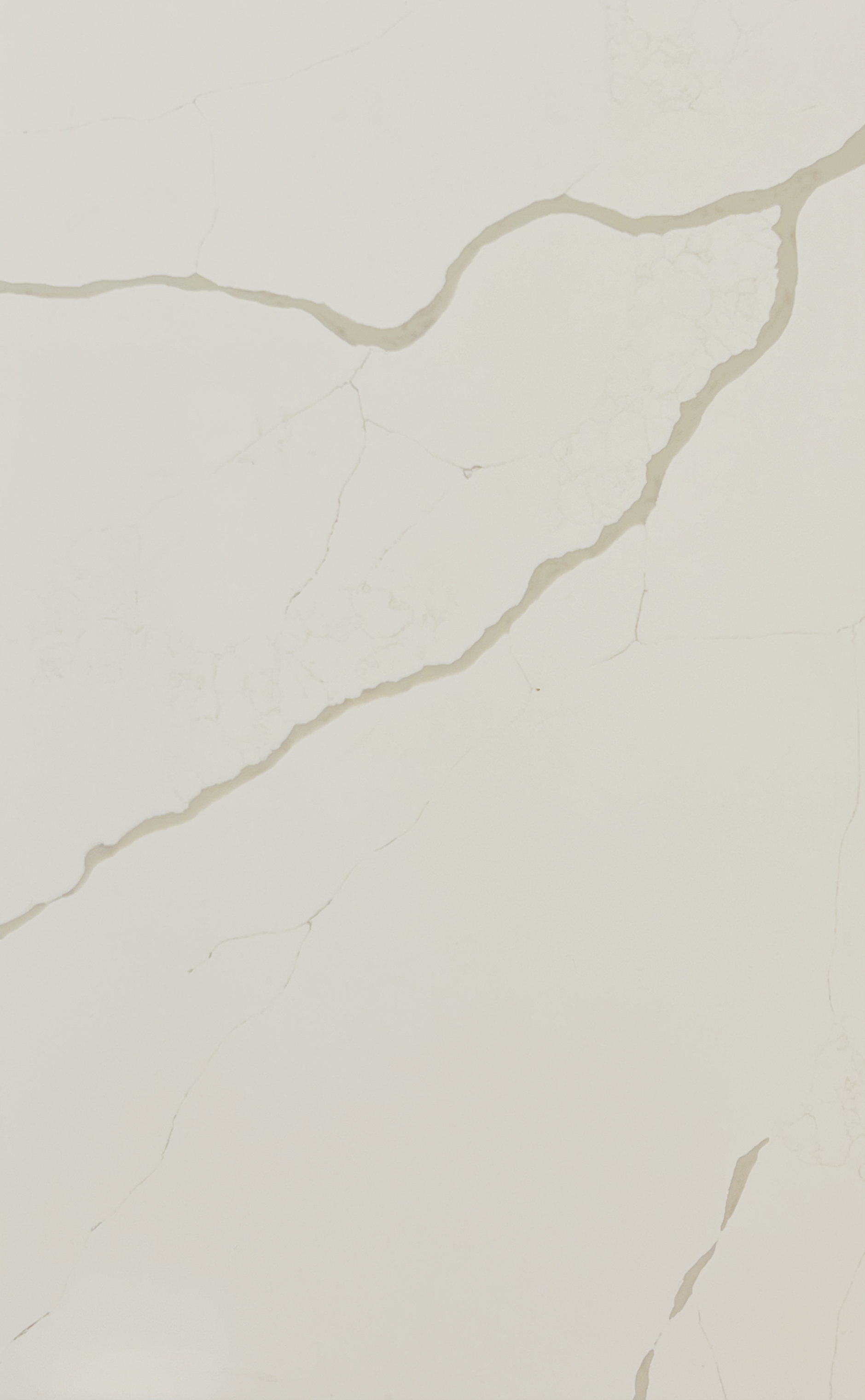 noName.png
