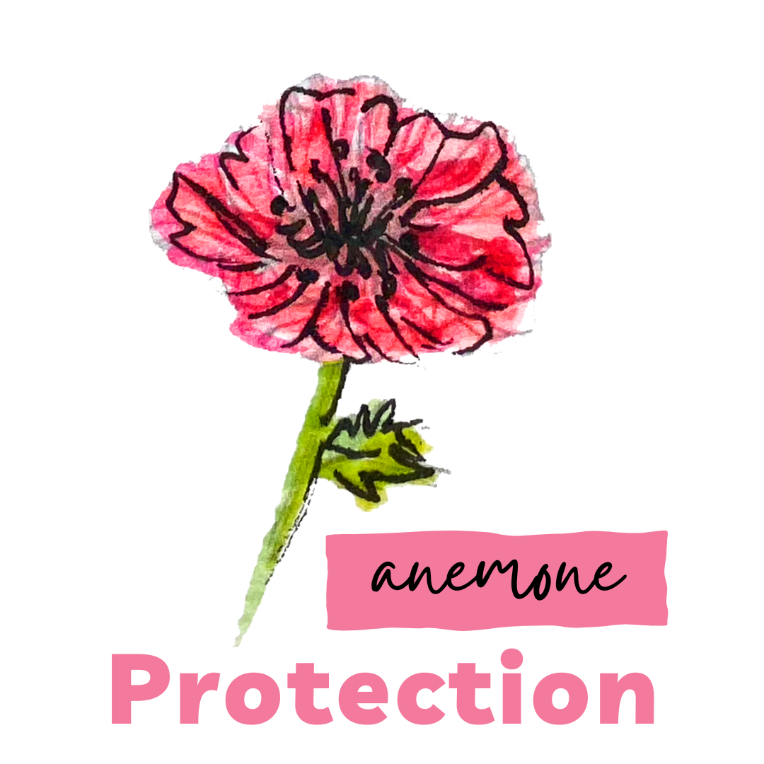 Anemone. Protection. JLJ..png