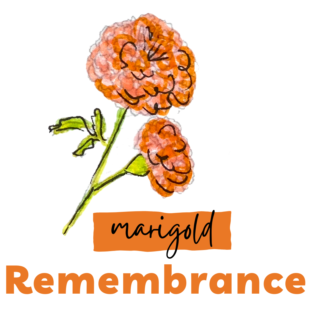 Marigold. Remembrance. JLJ..png