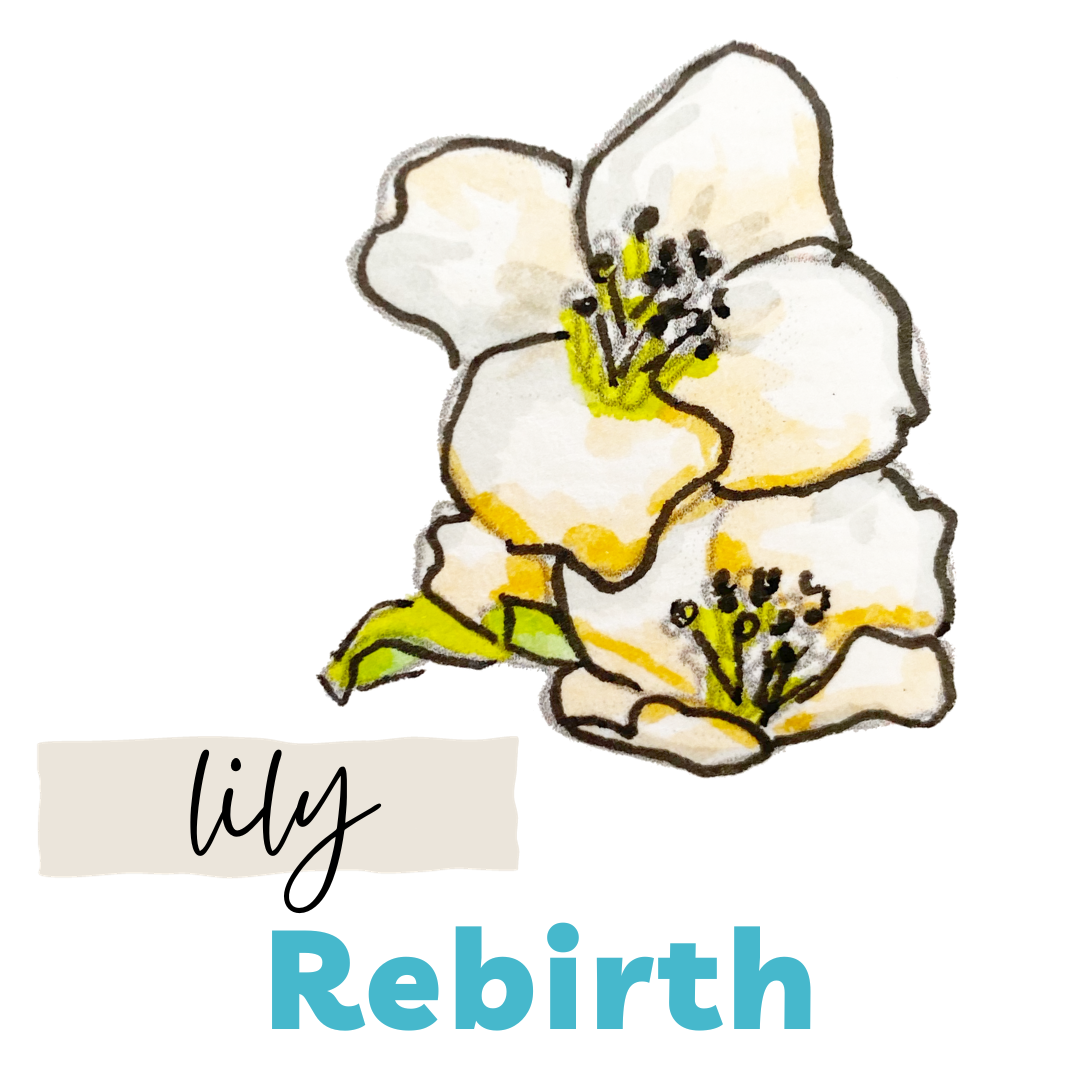 Lily. Rebirth. JLJ.png