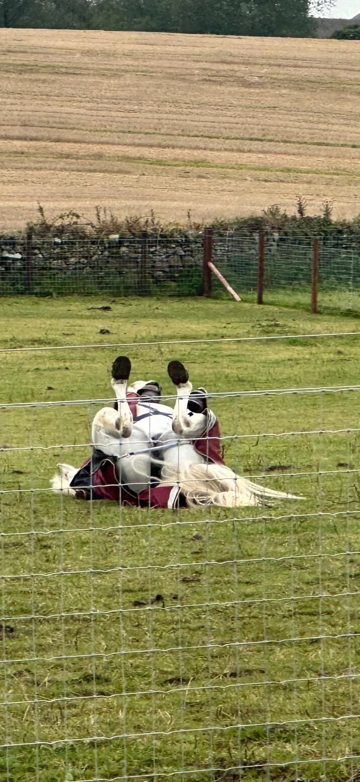 49c95d10-f812-48e2-b39a-7ab584c7d562 2.JPG