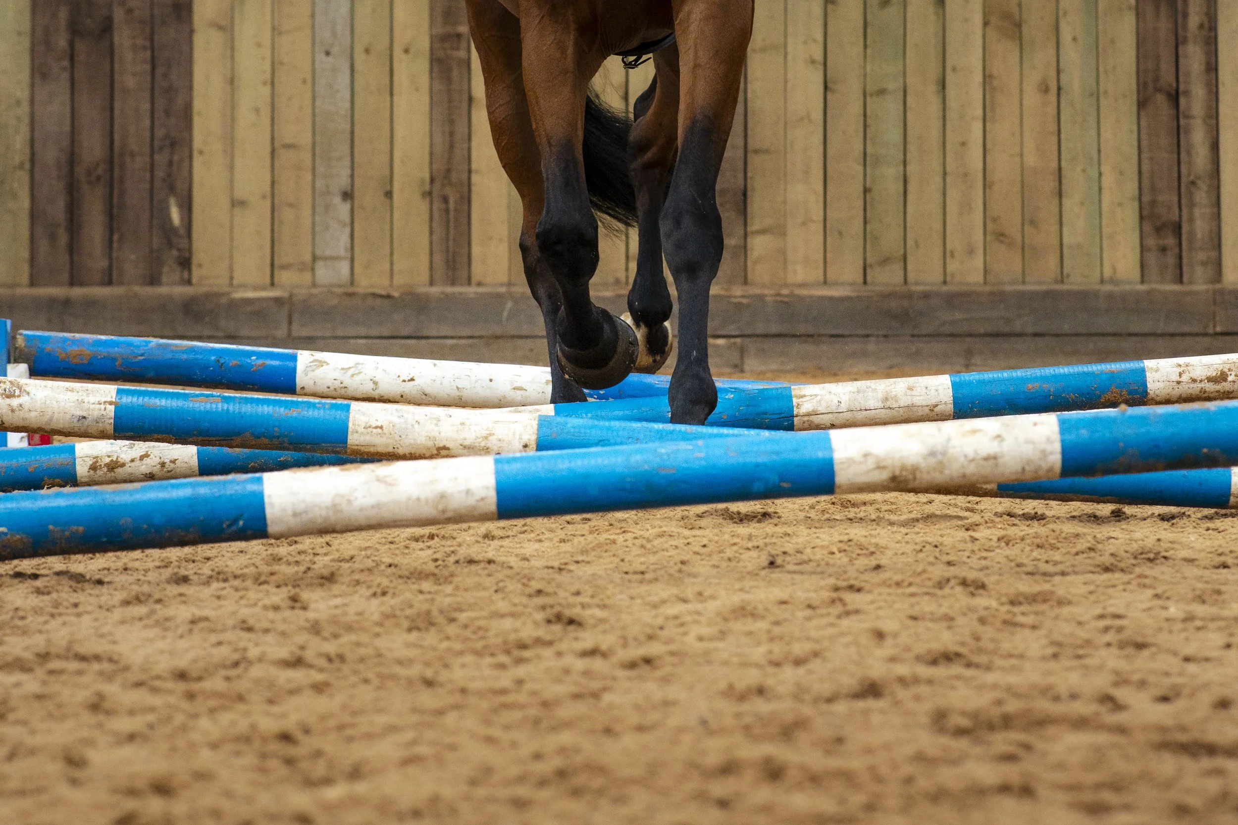 HIRE - AIMEE GARDINDER SESDG POLE CLINIC