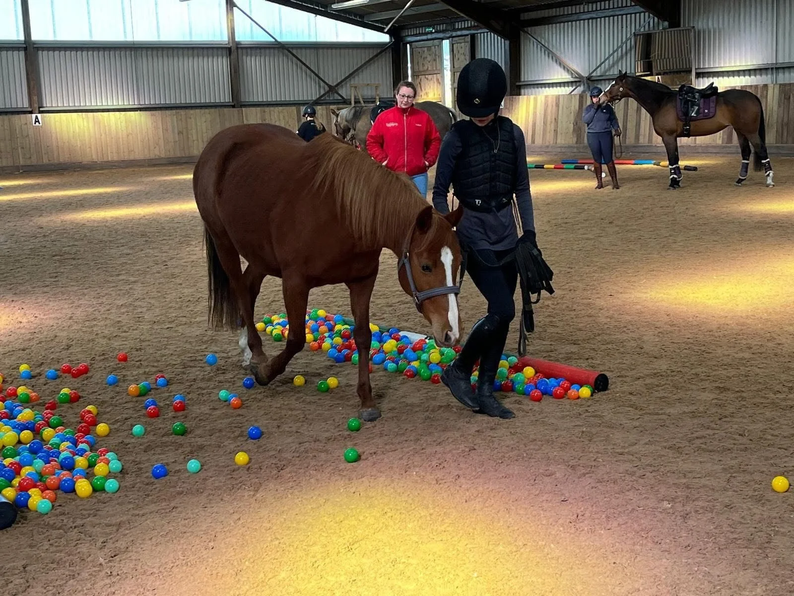 Inspired Equine Clinic  - Hannah Wells