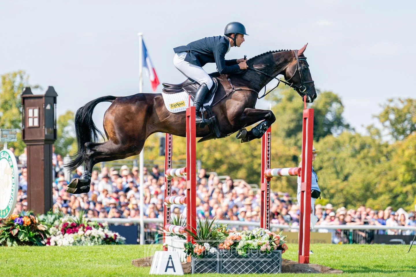 Wills Oakden Flatwork or Jump Training