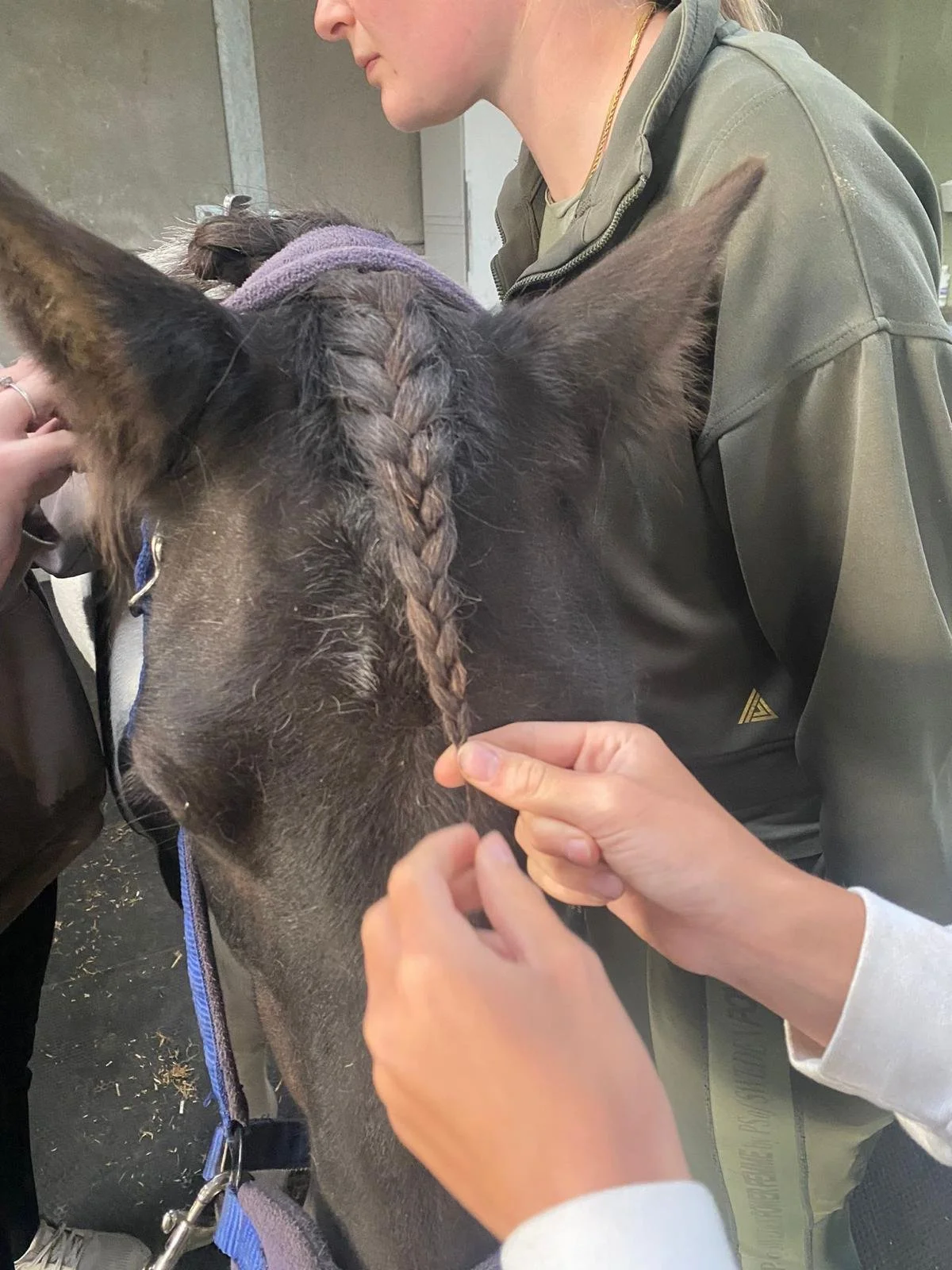 plait ben.jpeg