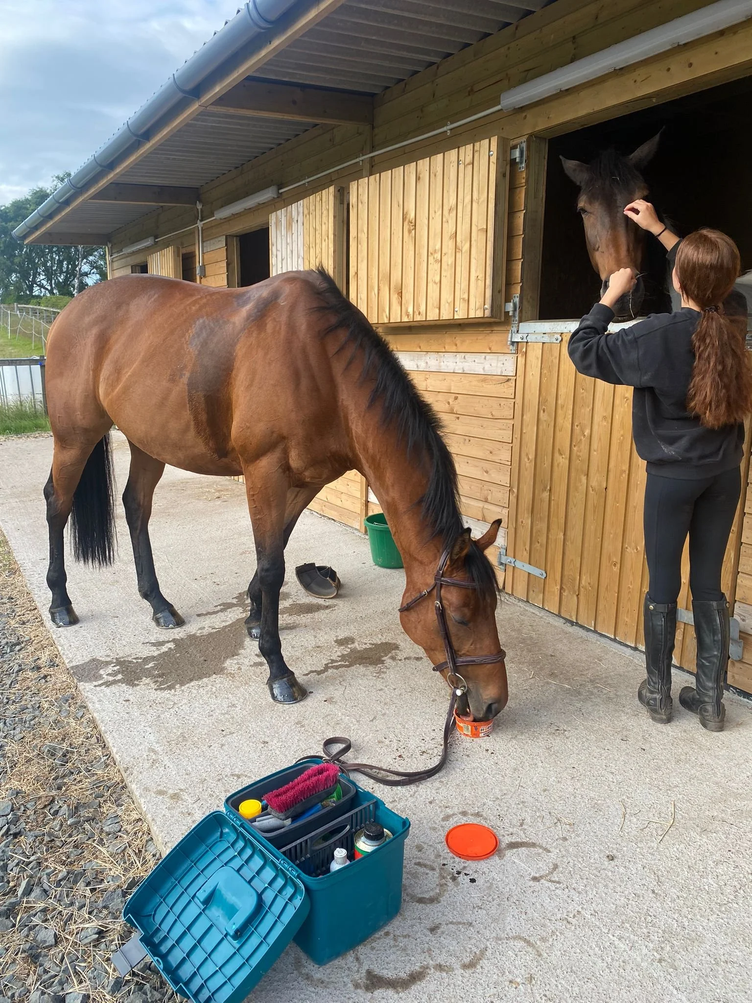 Day and Overnight Stables